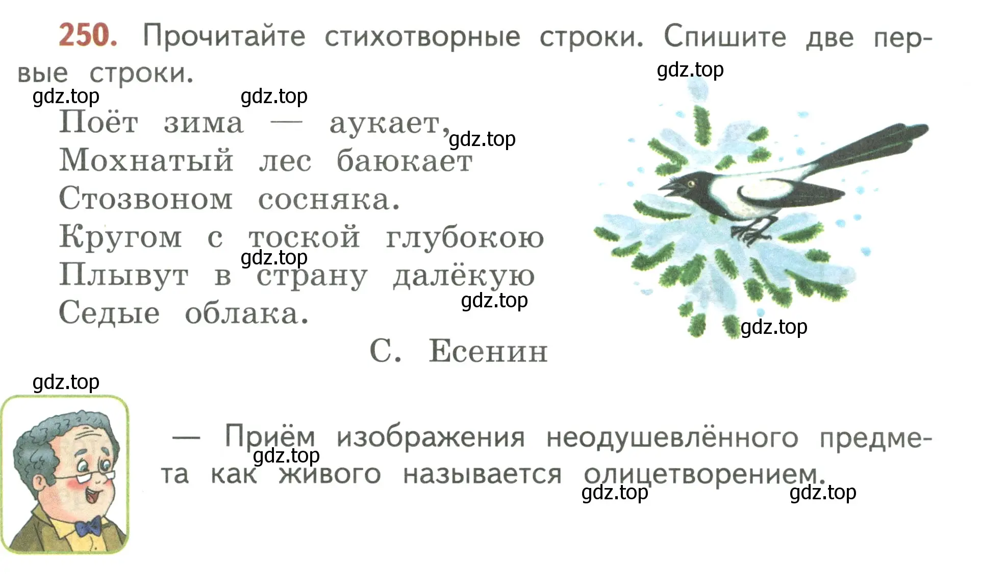 Условие номер 250 (страница 145) гдз по русскому языку 3 класс Климанова, Бабушкина, учебник 1 часть