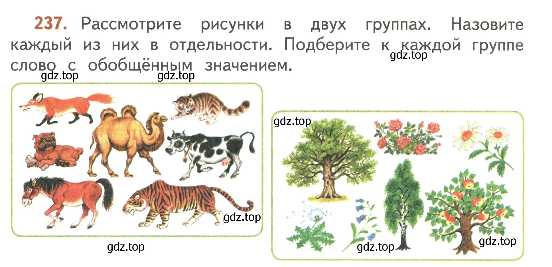 Условие номер 237 (страница 141) гдз по русскому языку 3 класс Климанова, Бабушкина, учебник 2 часть