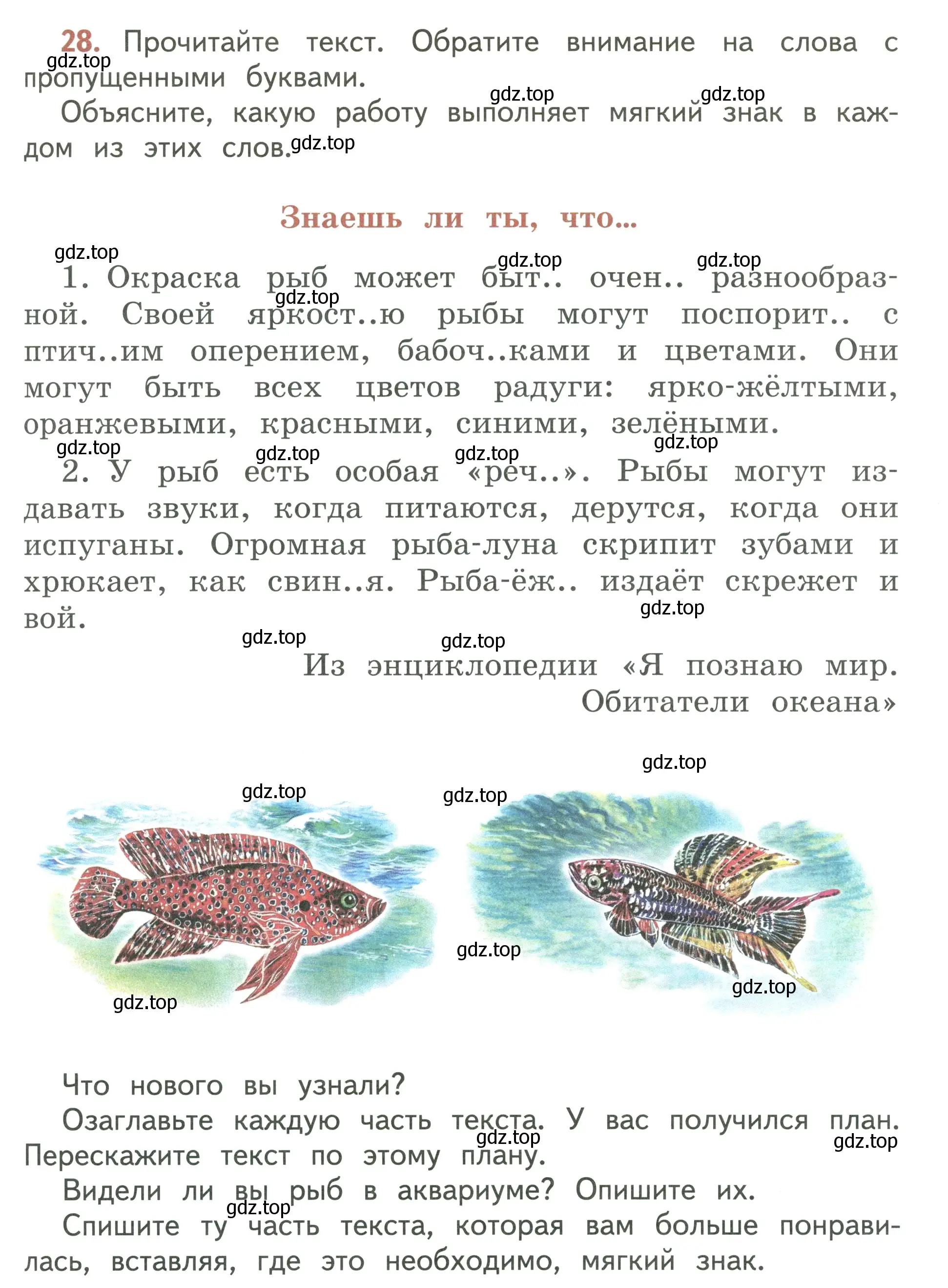 Условие номер 28 (страница 17) гдз по русскому языку 3 класс Климанова, Бабушкина, учебник 2 часть