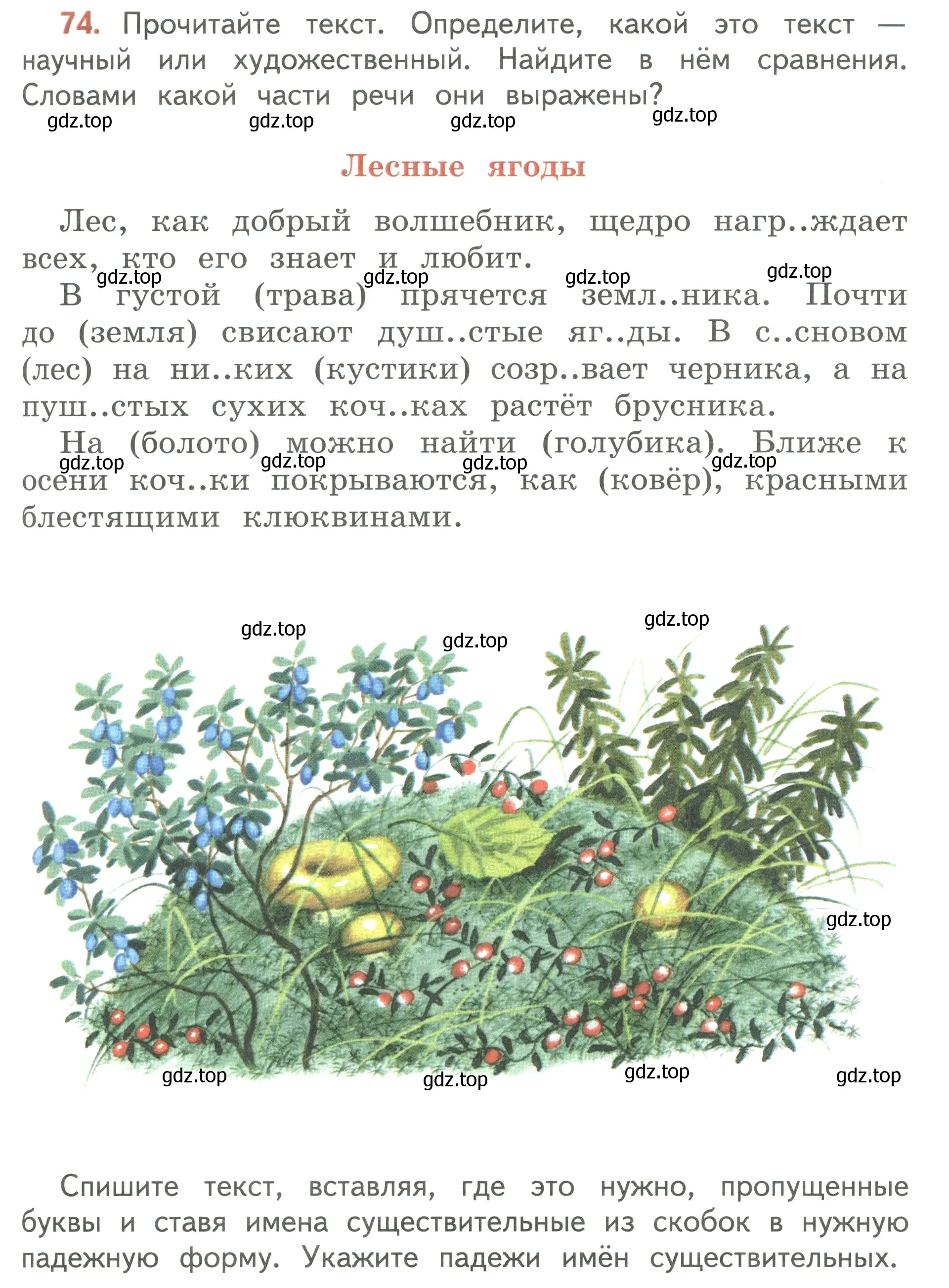 Условие номер 74 (страница 41) гдз по русскому языку 3 класс Климанова, Бабушкина, учебник 2 часть