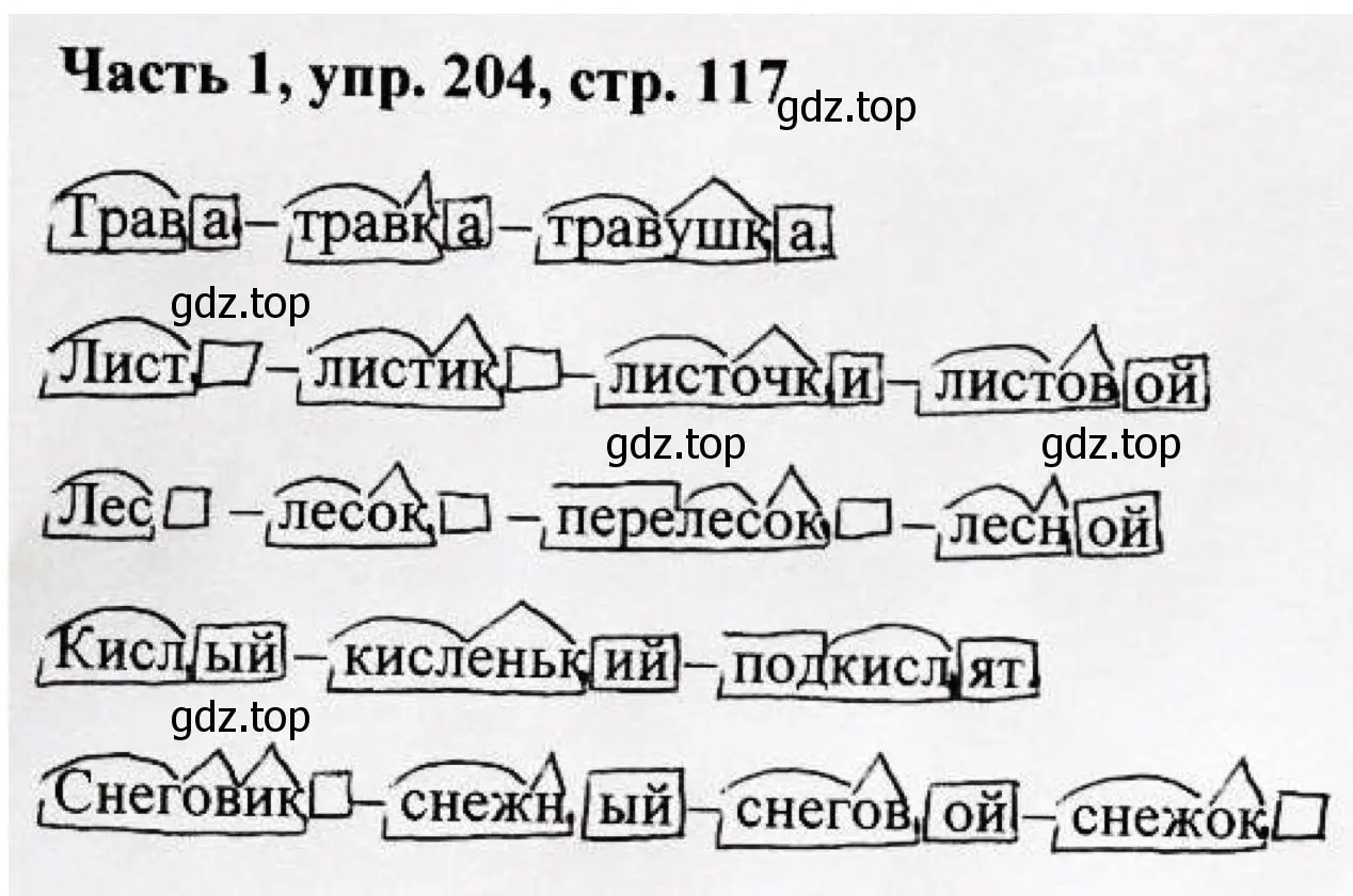 Решение номер 204 (страница 117) гдз по русскому языку 3 класс Климанова, Бабушкина, учебник 1 часть