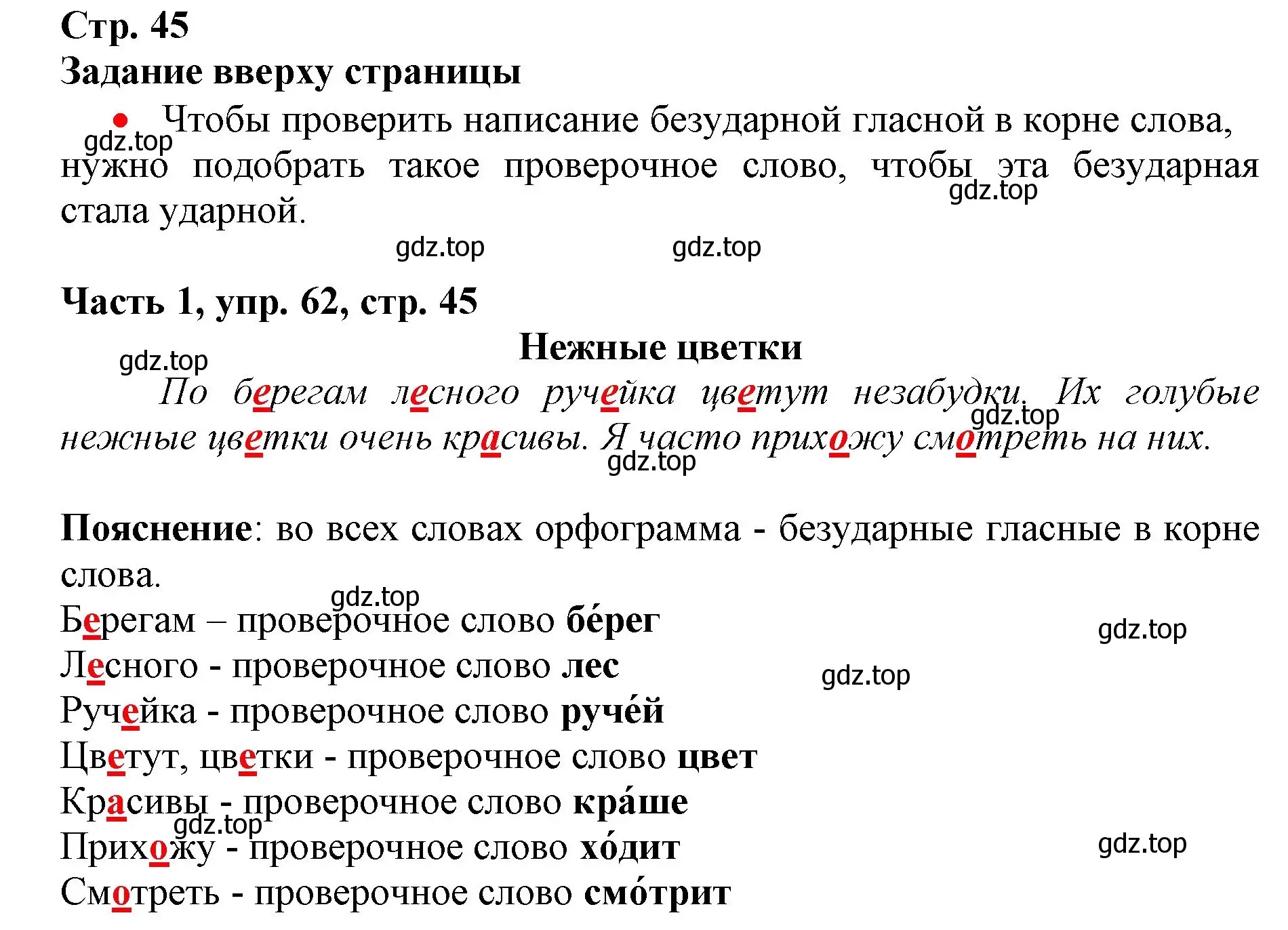 Решение номер 62 (страница 45) гдз по русскому языку 3 класс Климанова, Бабушкина, учебник 1 часть