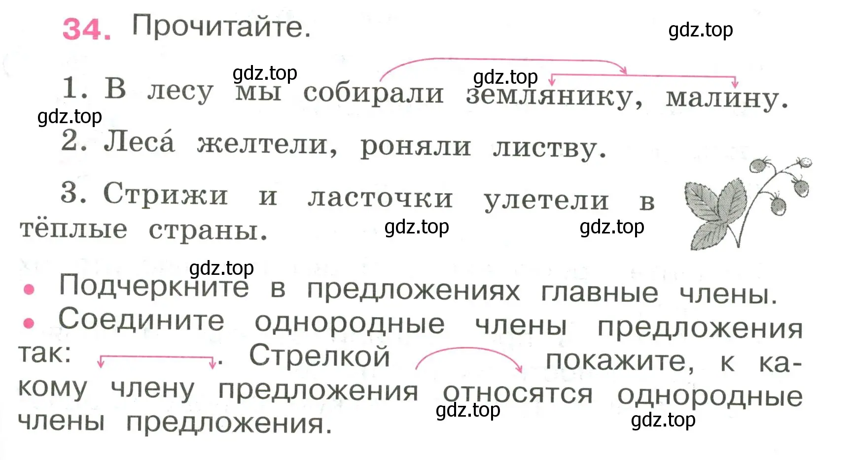 Условие номер 34 (страница 17) гдз по русскому языку 4 класс Канакина, рабочая тетрадь 1 часть