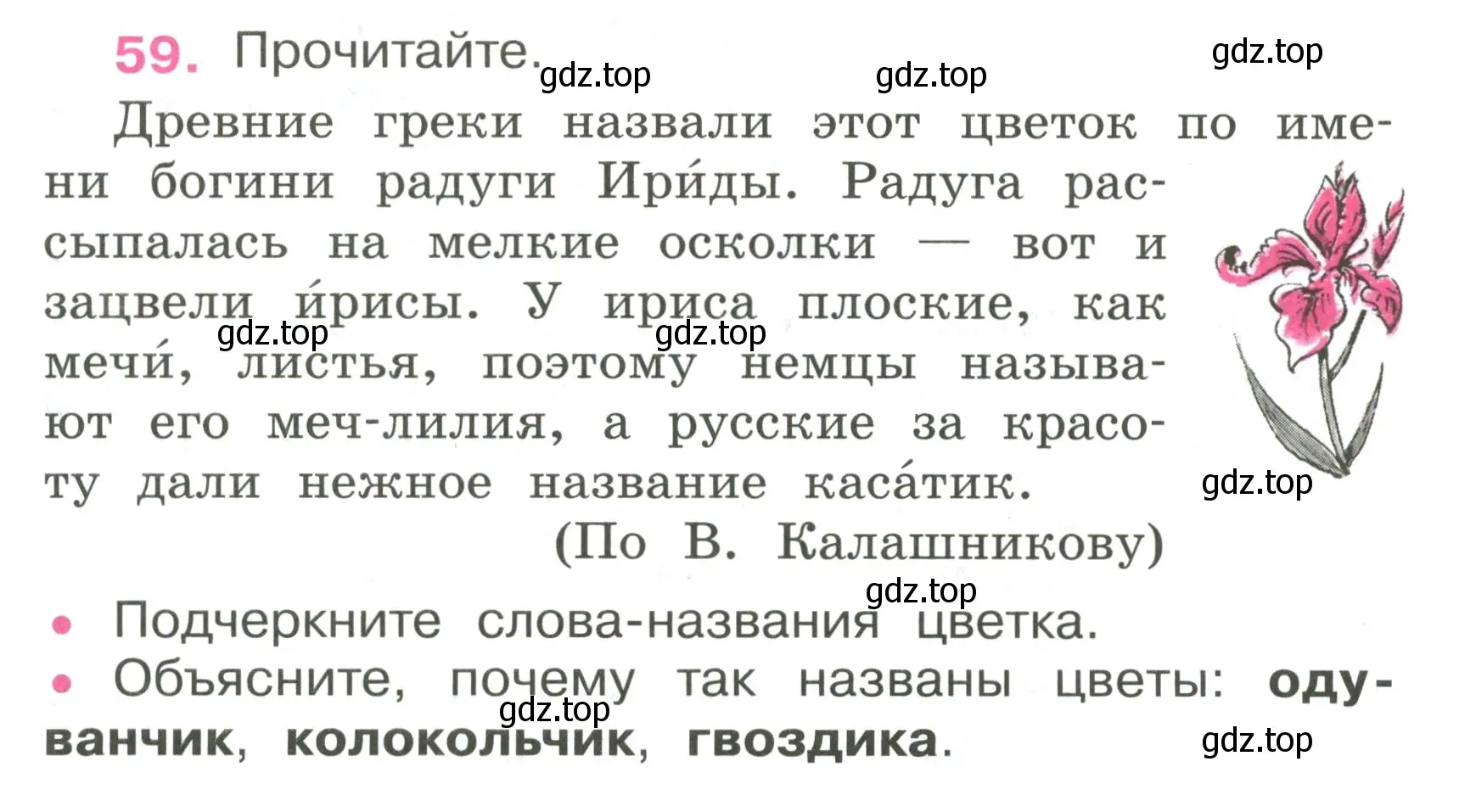 Условие номер 59 (страница 29) гдз по русскому языку 4 класс Канакина, рабочая тетрадь 1 часть