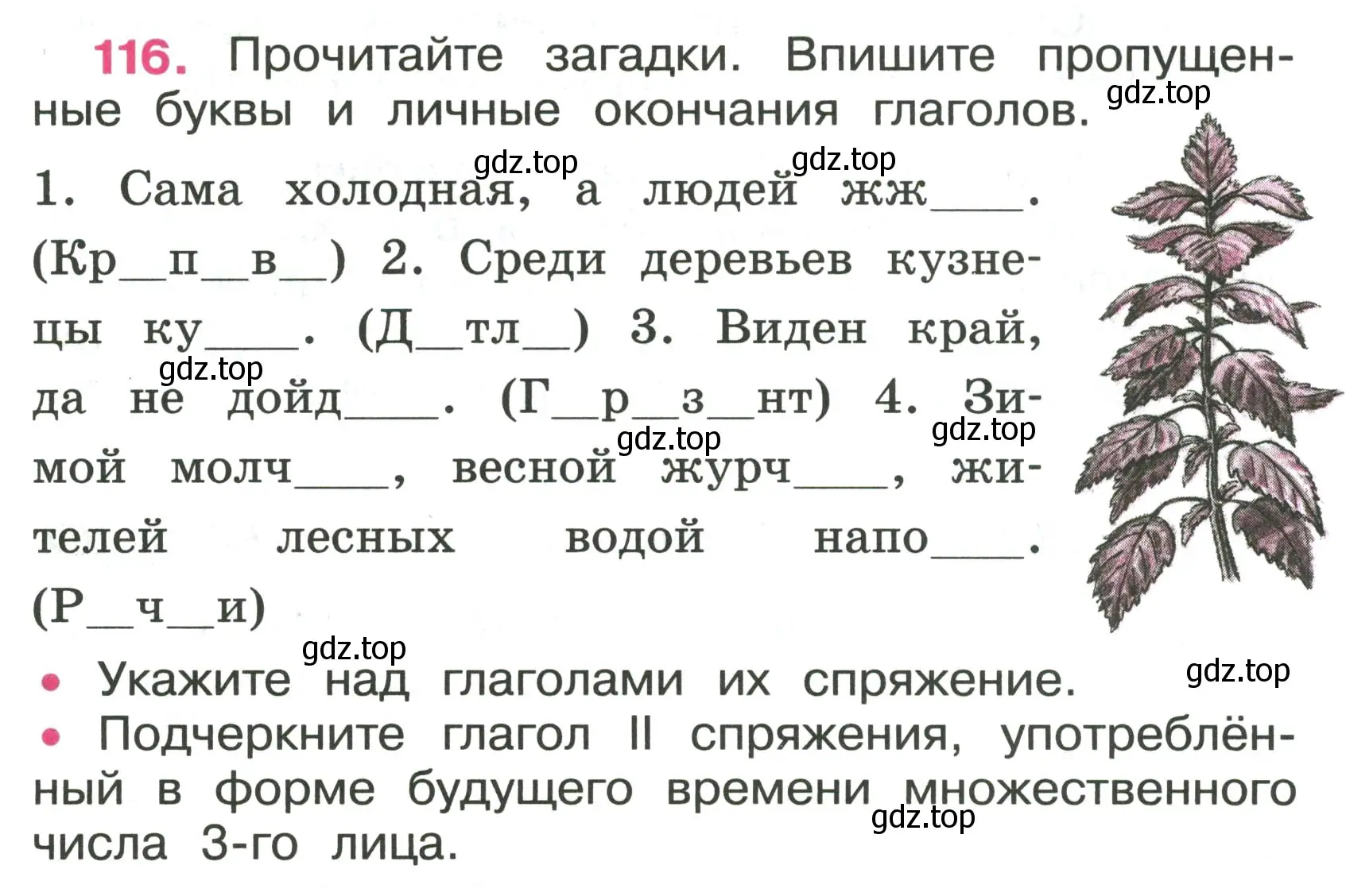 Условие номер 116 (страница 51) гдз по русскому языку 4 класс Канакина, рабочая тетрадь 2 часть