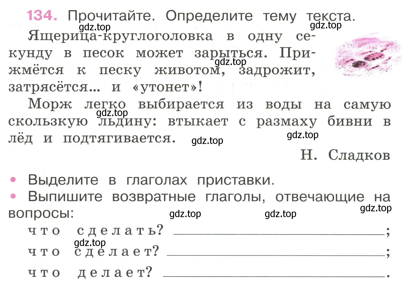 Условие номер 134 (страница 59) гдз по русскому языку 4 класс Канакина, рабочая тетрадь 2 часть