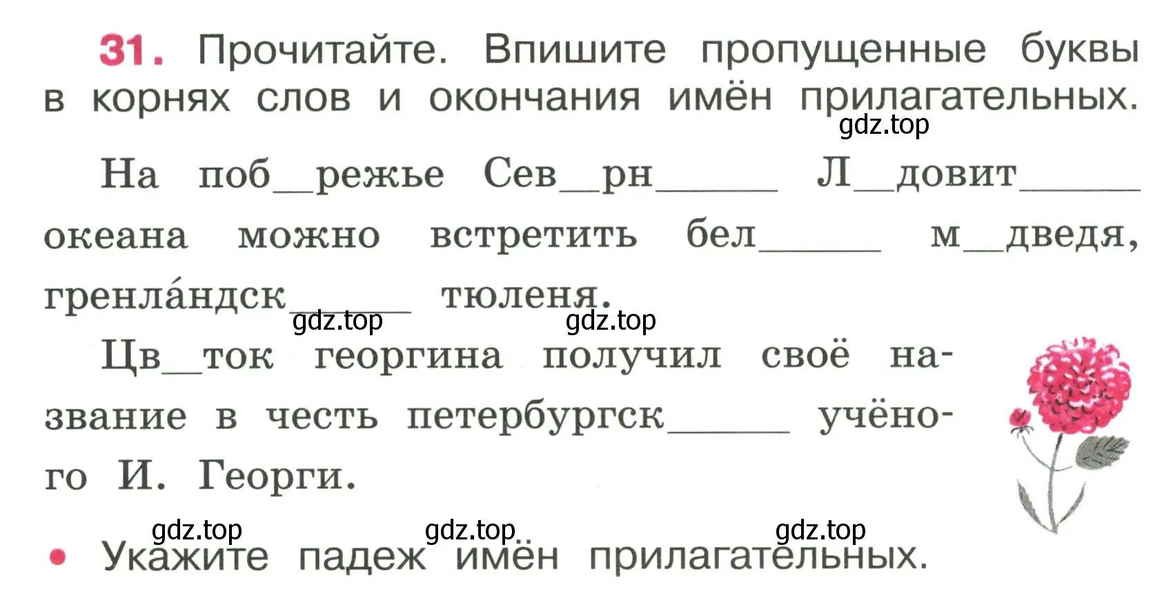 Условие номер 31 (страница 14) гдз по русскому языку 4 класс Канакина, рабочая тетрадь 2 часть