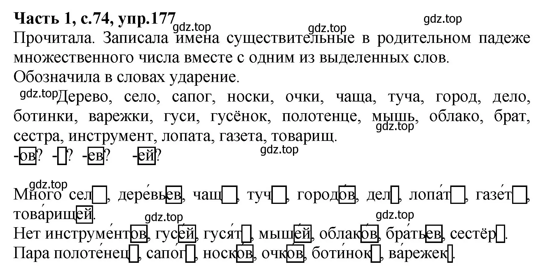 Решение номер 177 (страница 74) гдз по русскому языку 4 класс Канакина, рабочая тетрадь 1 часть