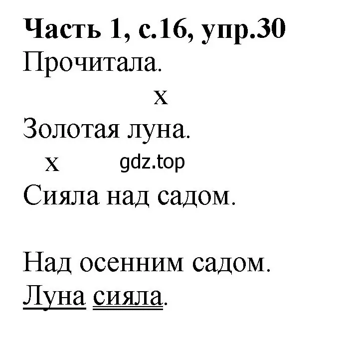 Решение номер 30 (страница 16) гдз по русскому языку 4 класс Канакина, рабочая тетрадь 1 часть