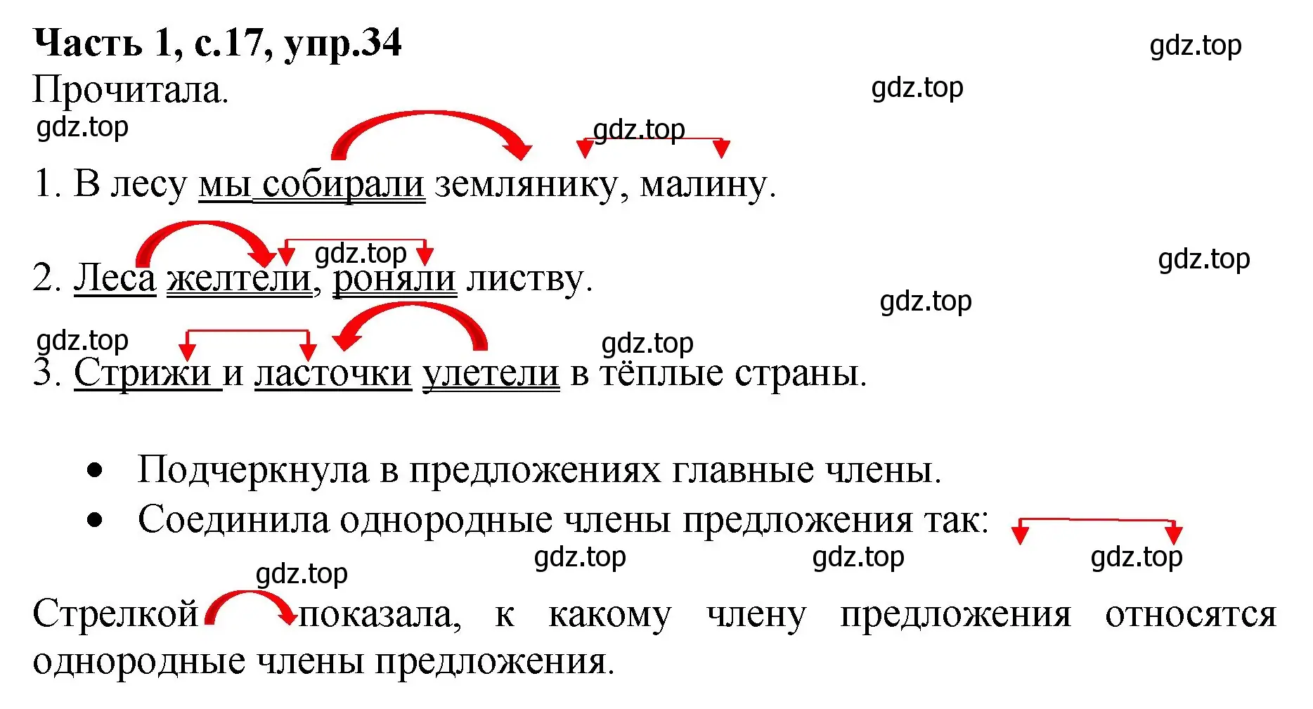 Решение номер 34 (страница 17) гдз по русскому языку 4 класс Канакина, рабочая тетрадь 1 часть