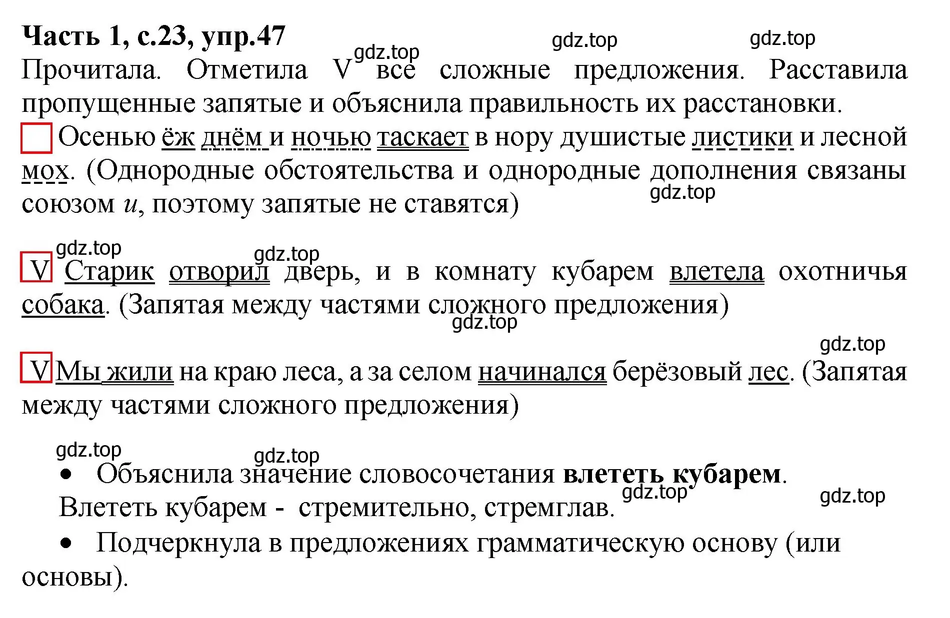 Решение номер 47 (страница 23) гдз по русскому языку 4 класс Канакина, рабочая тетрадь 1 часть