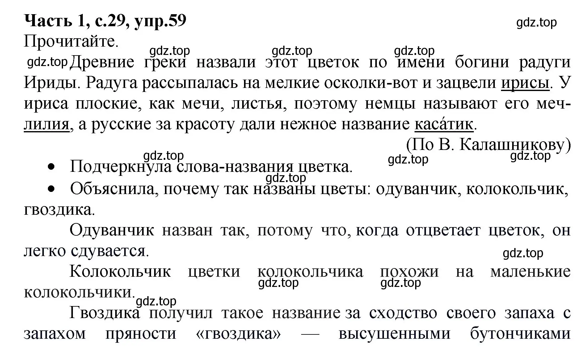 Решение номер 59 (страница 29) гдз по русскому языку 4 класс Канакина, рабочая тетрадь 1 часть