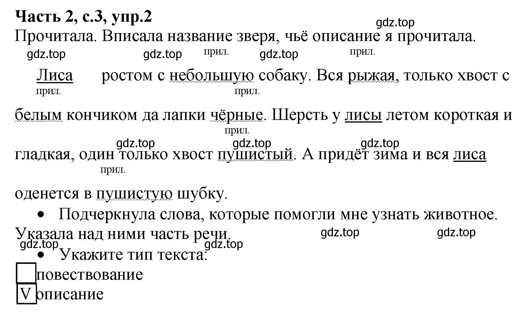 Решение номер 2 (страница 3) гдз по русскому языку 4 класс Канакина, рабочая тетрадь 2 часть