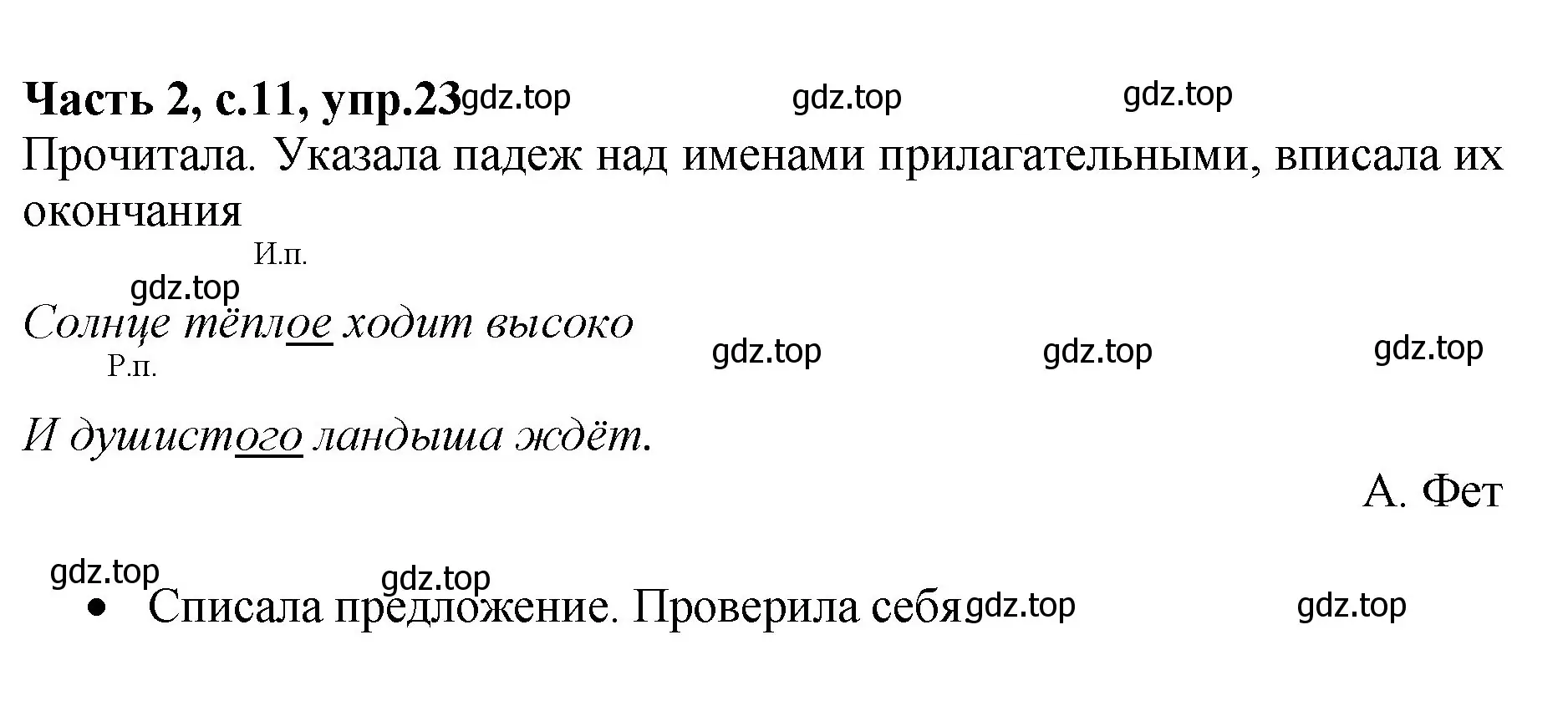 Решение номер 23 (страница 11) гдз по русскому языку 4 класс Канакина, рабочая тетрадь 2 часть