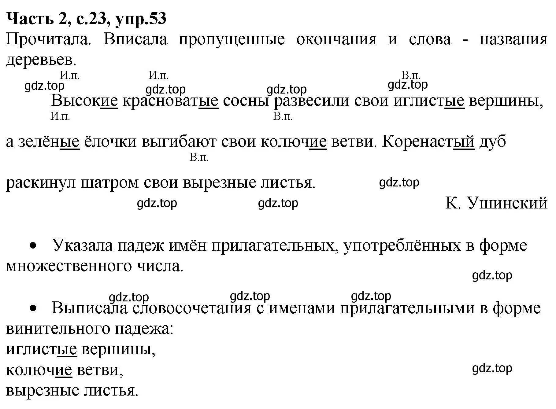 Решение номер 53 (страница 23) гдз по русскому языку 4 класс Канакина, рабочая тетрадь 2 часть