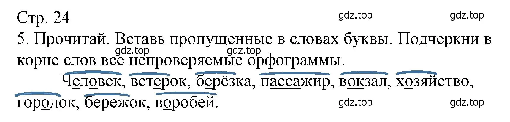 Решение номер 5 (страница 24) гдз по русскому языку 4 класс Канакина, тетрадь учебных достижений