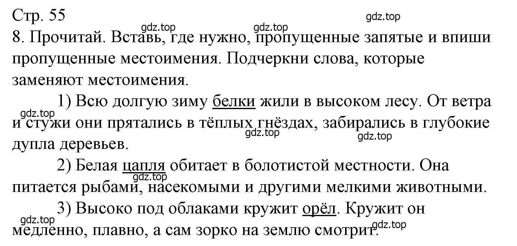 Решение номер 8 (страница 55) гдз по русскому языку 4 класс Канакина, тетрадь учебных достижений