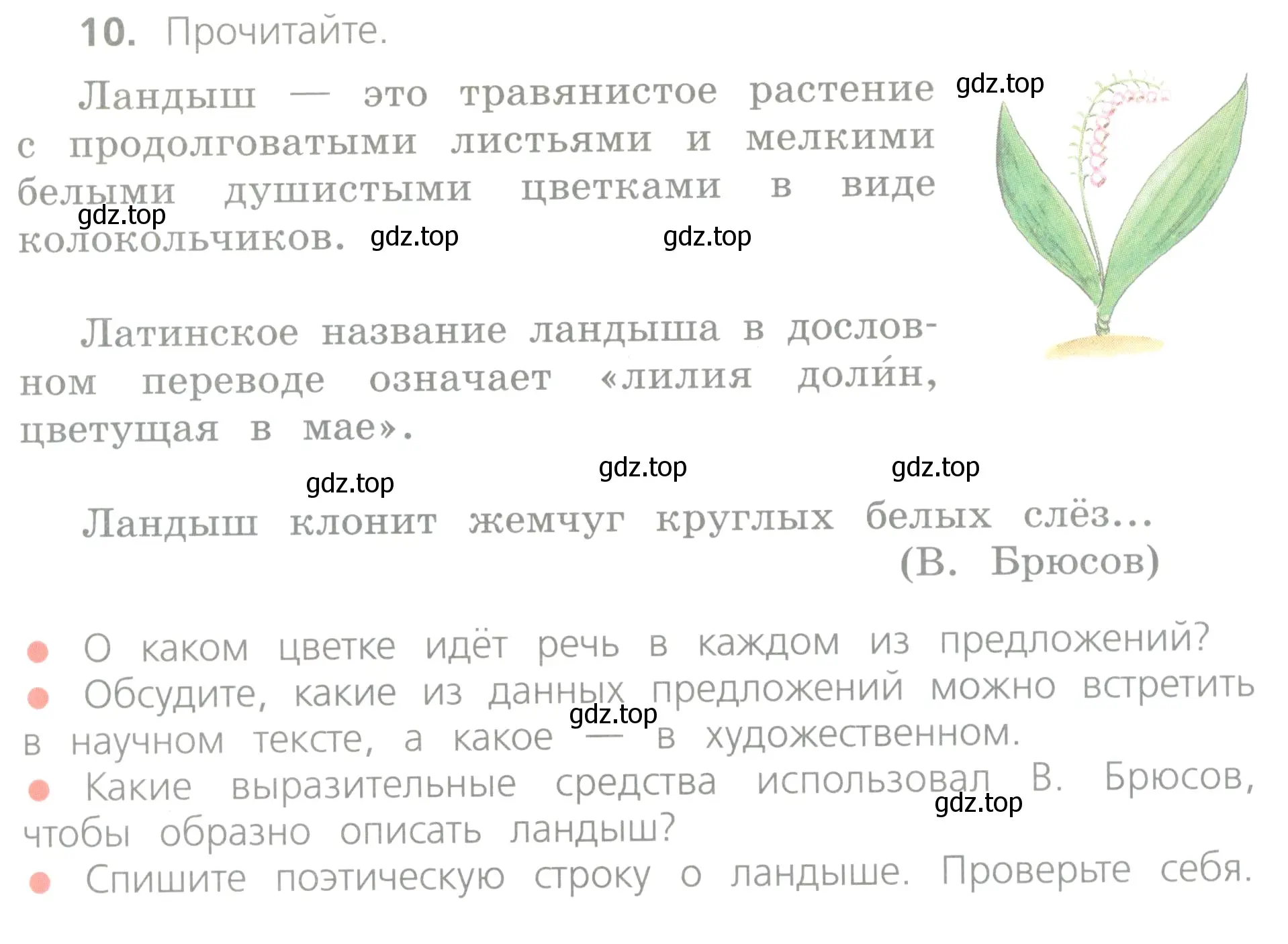 Условие номер 10 (страница 11) гдз по русскому языку 4 класс Канакина, Горецкий, учебник 1 часть