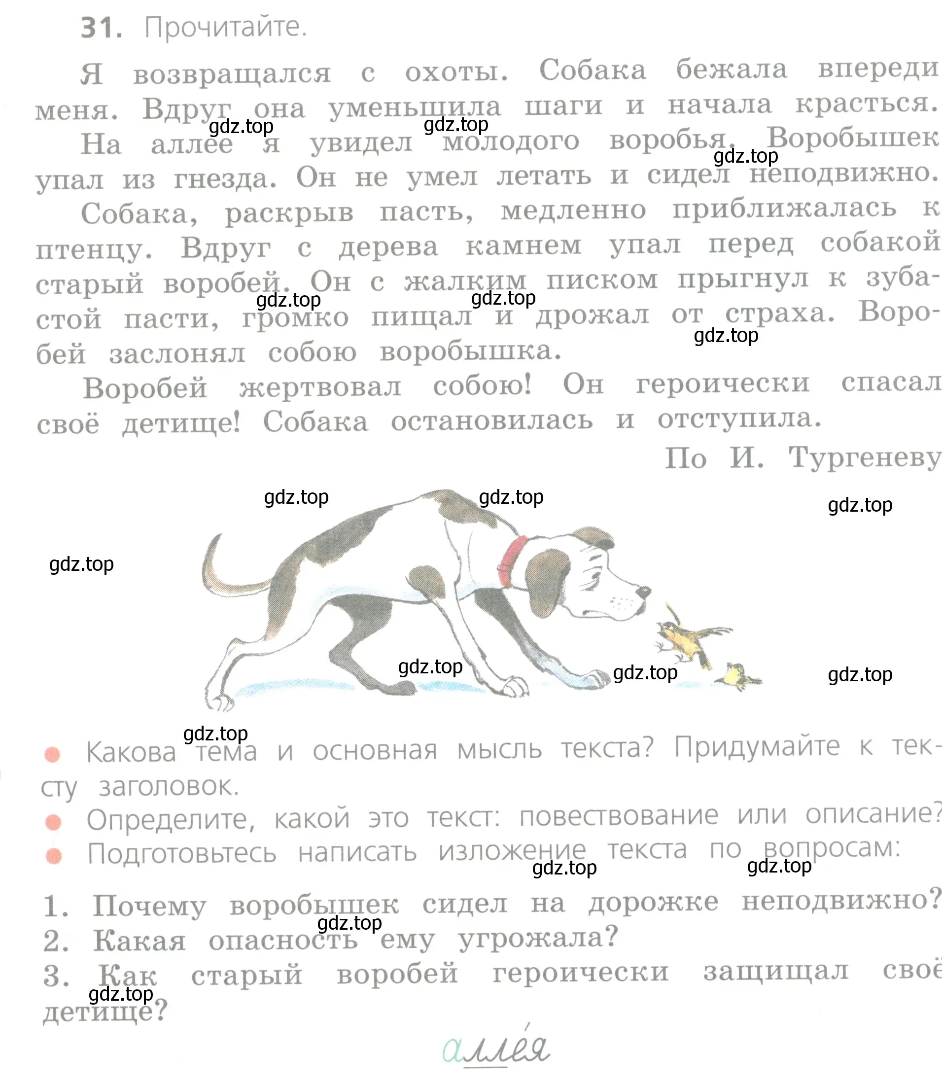 Условие номер 31 (страница 22) гдз по русскому языку 4 класс Канакина, Горецкий, учебник 1 часть