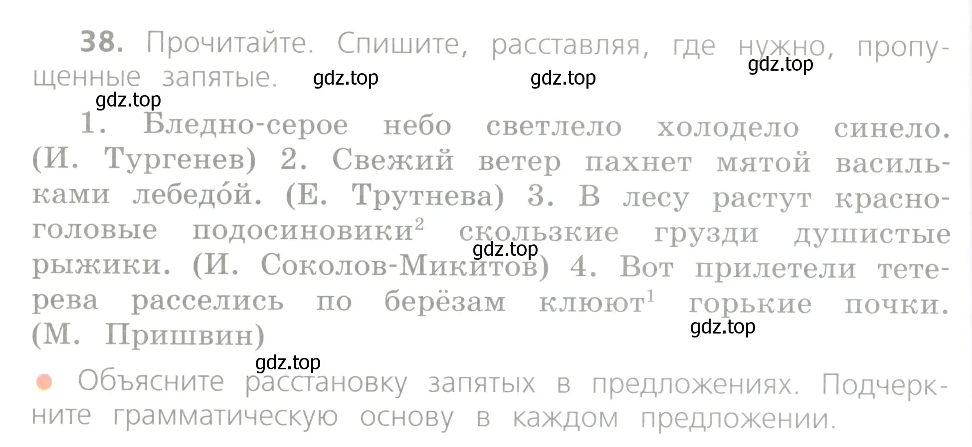 Условие номер 38 (страница 28) гдз по русскому языку 4 класс Канакина, Горецкий, учебник 1 часть