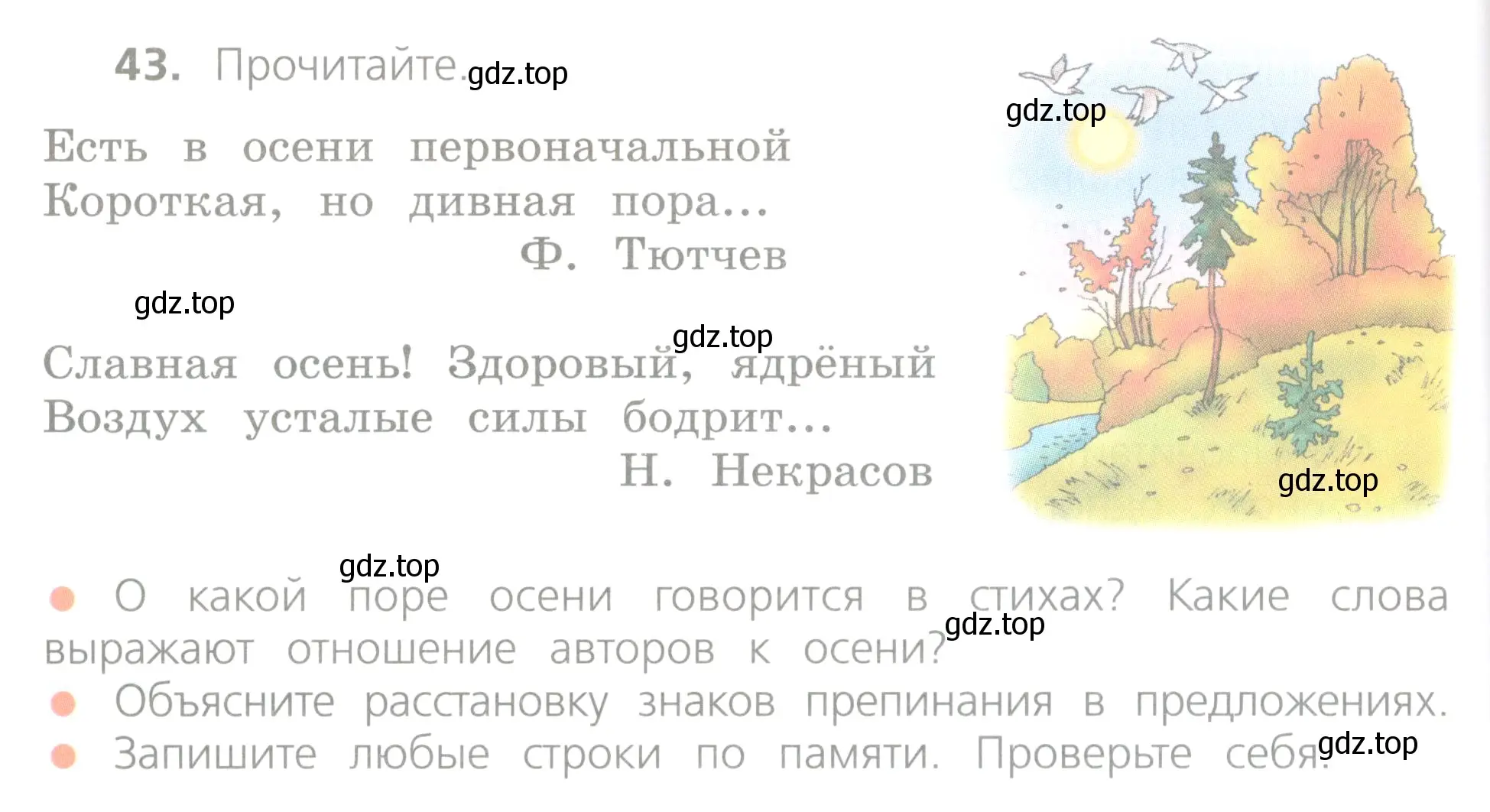 Условие номер 43 (страница 30) гдз по русскому языку 4 класс Канакина, Горецкий, учебник 1 часть