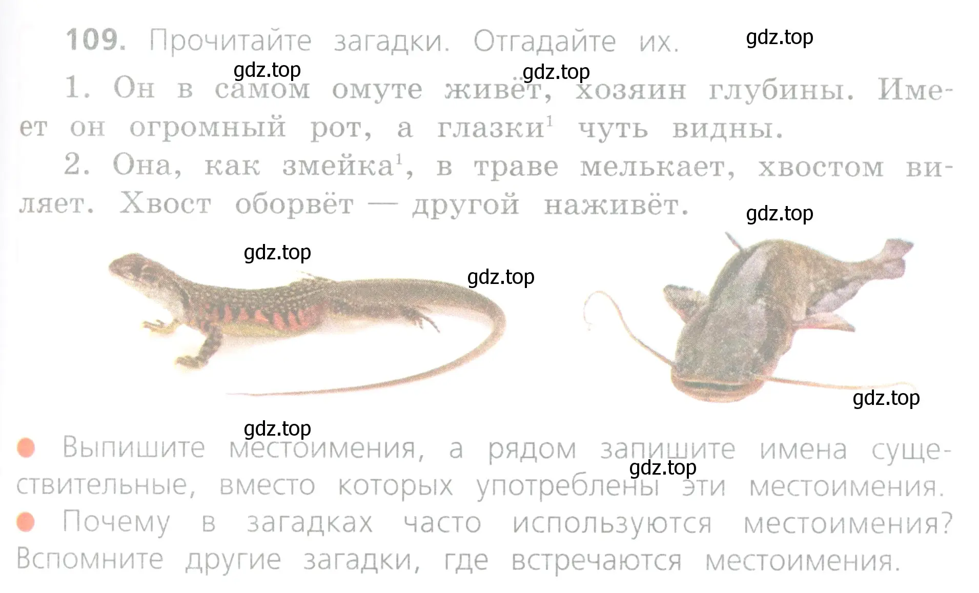 Условие номер 109 (страница 53) гдз по русскому языку 4 класс Канакина, Горецкий, учебник 2 часть