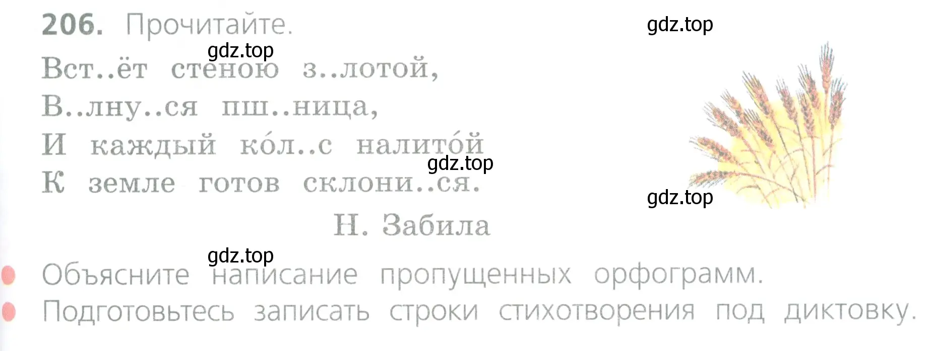 Условие номер 206 (страница 101) гдз по русскому языку 4 класс Канакина, Горецкий, учебник 2 часть