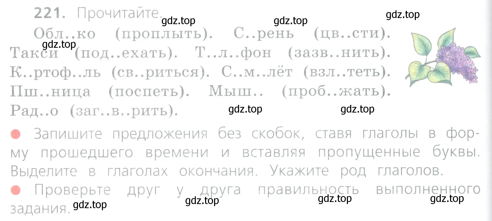 Условие номер 221 (страница 108) гдз по русскому языку 4 класс Канакина, Горецкий, учебник 2 часть