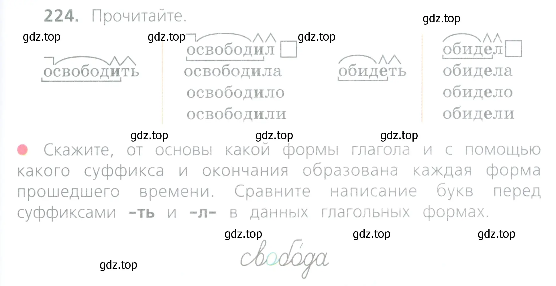 Условие номер 224 (страница 109) гдз по русскому языку 4 класс Канакина, Горецкий, учебник 2 часть