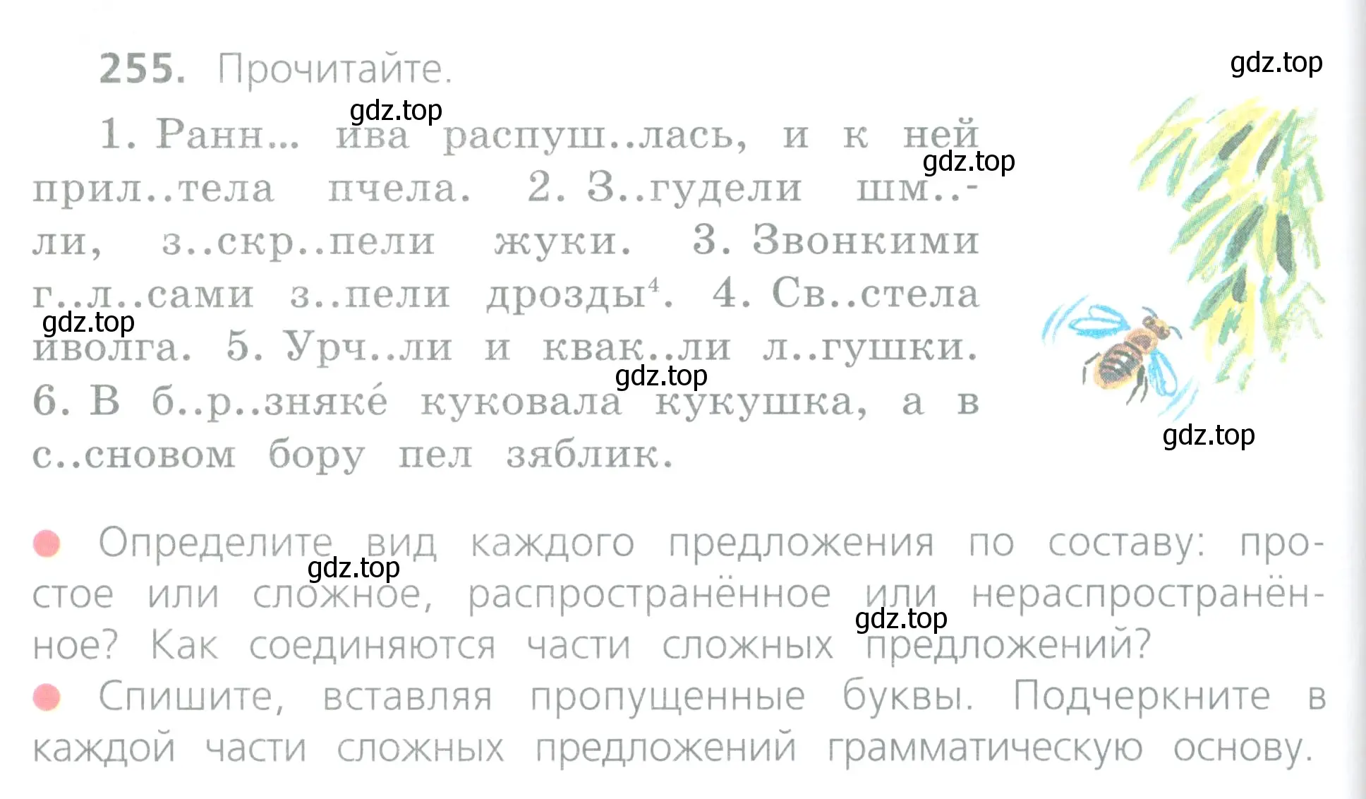 Условие номер 255 (страница 122) гдз по русскому языку 4 класс Канакина, Горецкий, учебник 2 часть