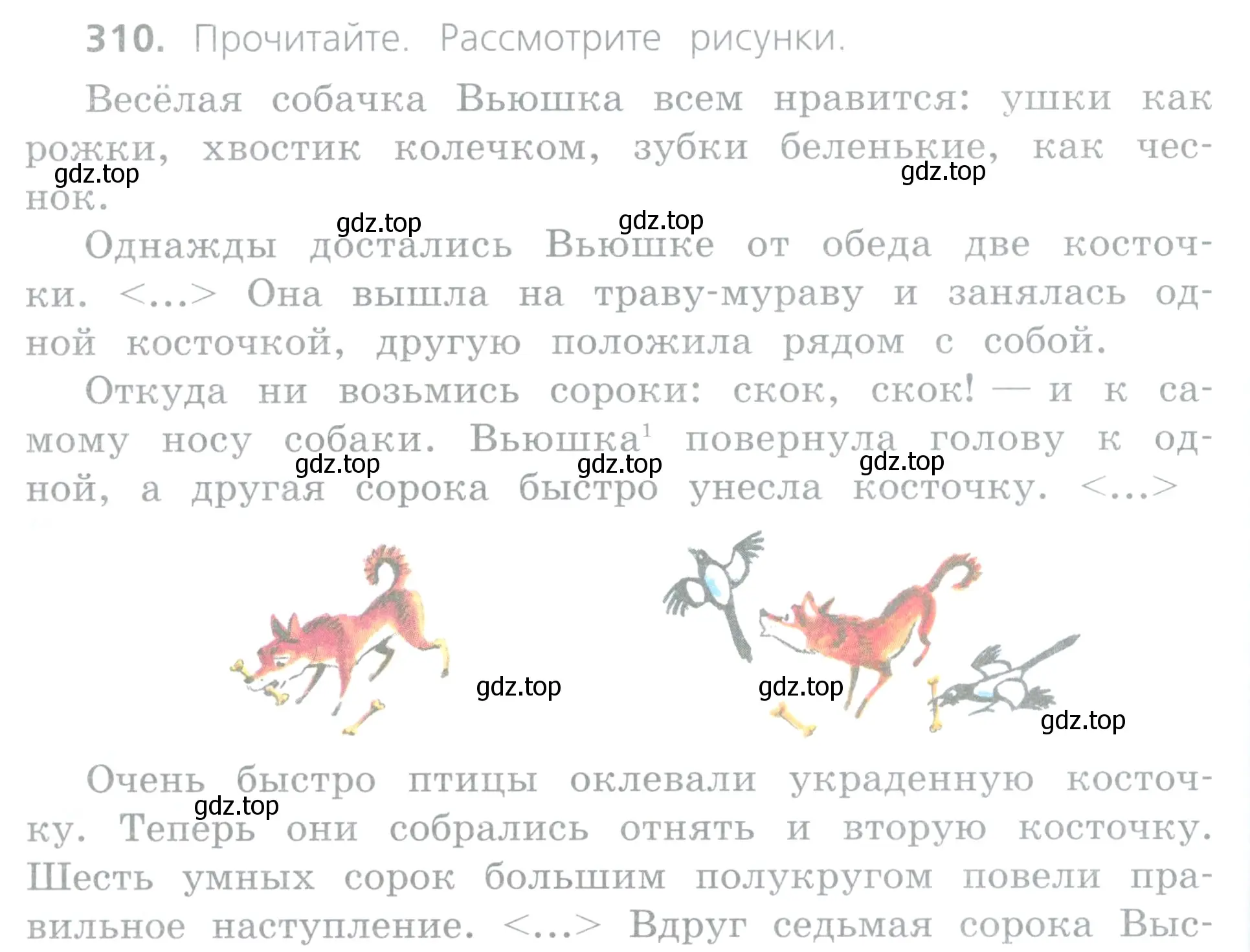 Условие номер 310 (страница 138) гдз по русскому языку 4 класс Канакина, Горецкий, учебник 2 часть