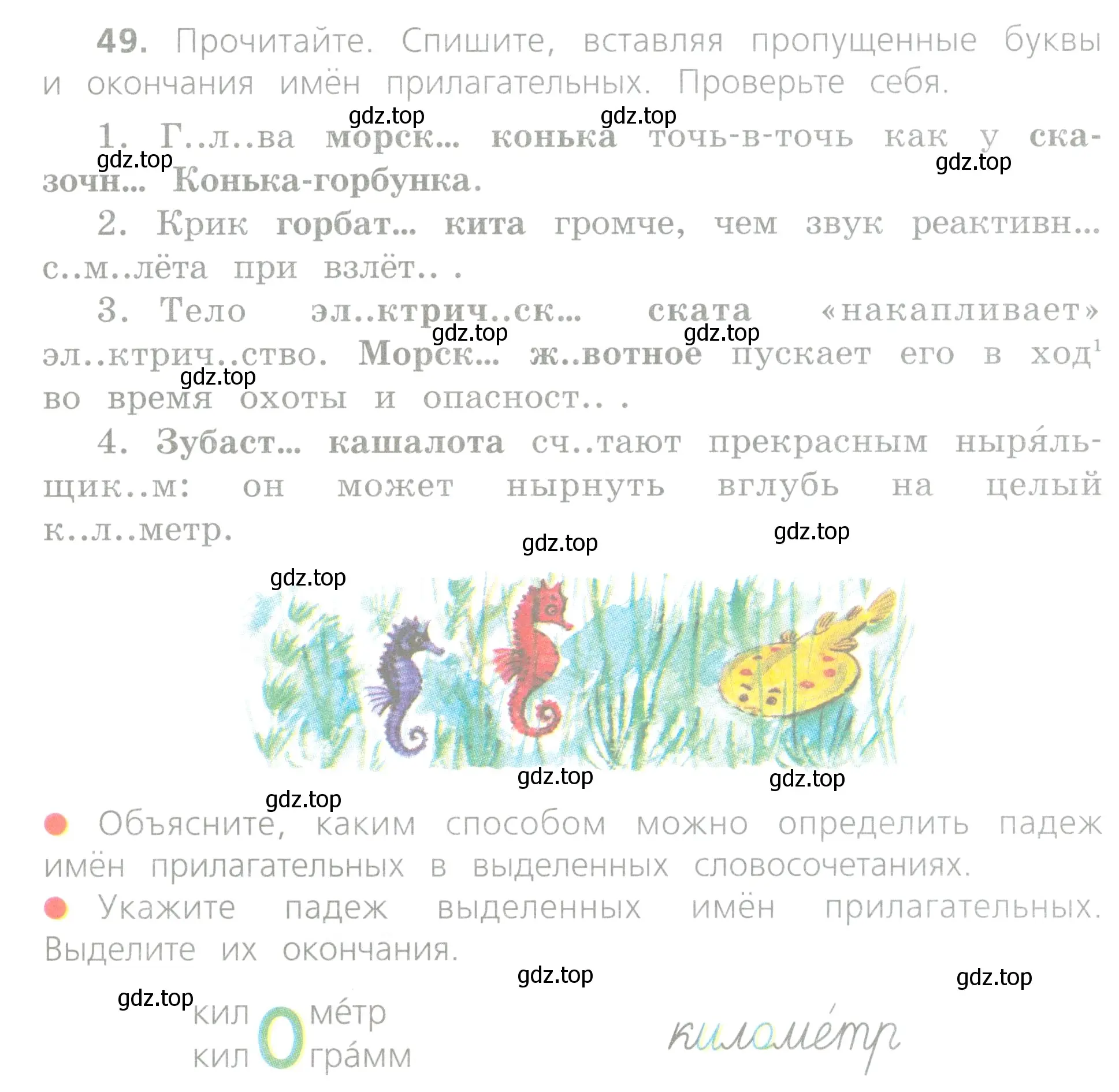 Условие номер 49 (страница 25) гдз по русскому языку 4 класс Канакина, Горецкий, учебник 2 часть