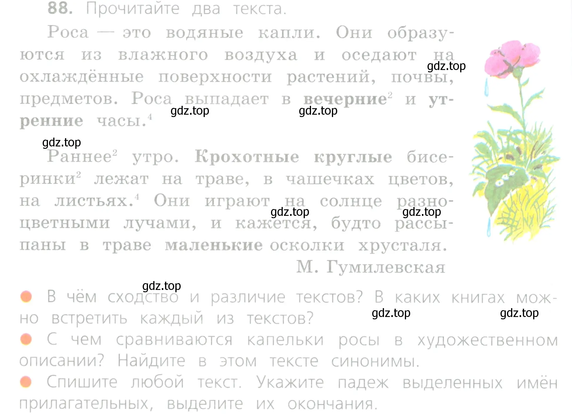 Условие номер 88 (страница 42) гдз по русскому языку 4 класс Канакина, Горецкий, учебник 2 часть