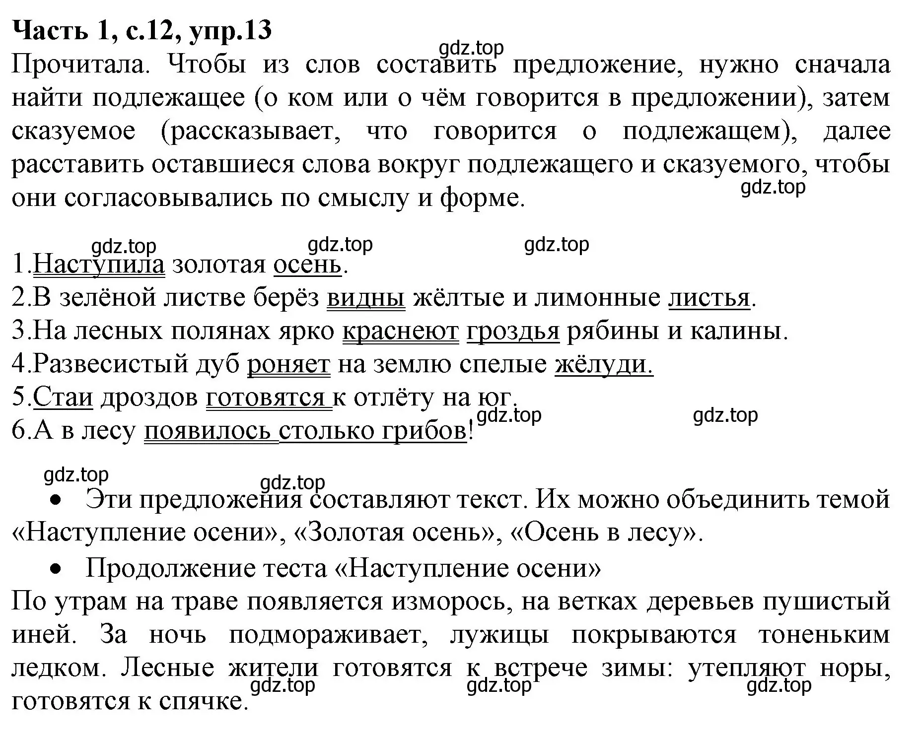 Решение номер 13 (страница 12) гдз по русскому языку 4 класс Канакина, Горецкий, учебник 1 часть