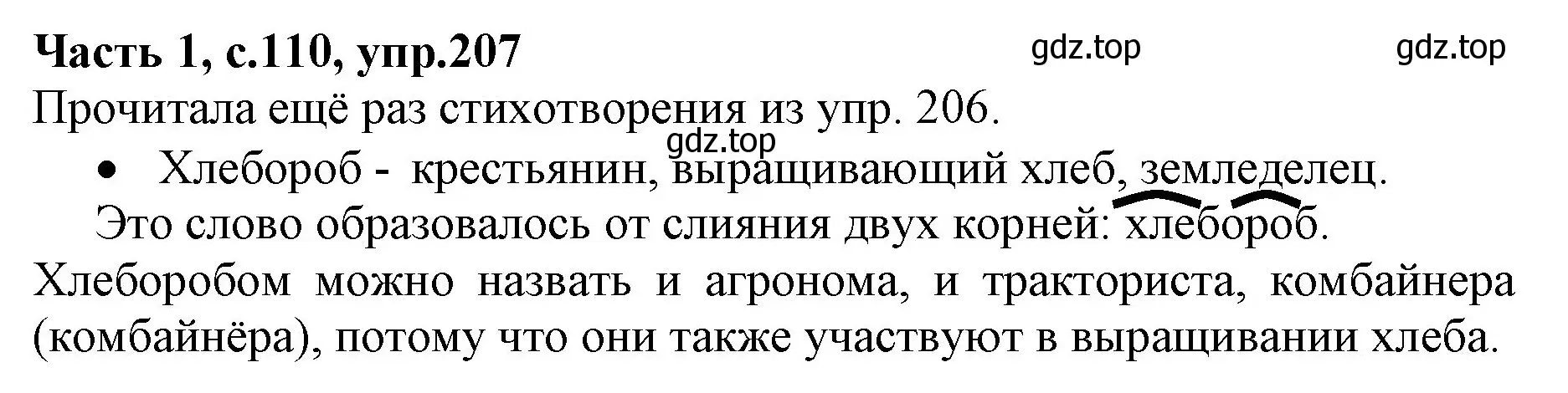 Решение номер 207 (страница 110) гдз по русскому языку 4 класс Канакина, Горецкий, учебник 1 часть