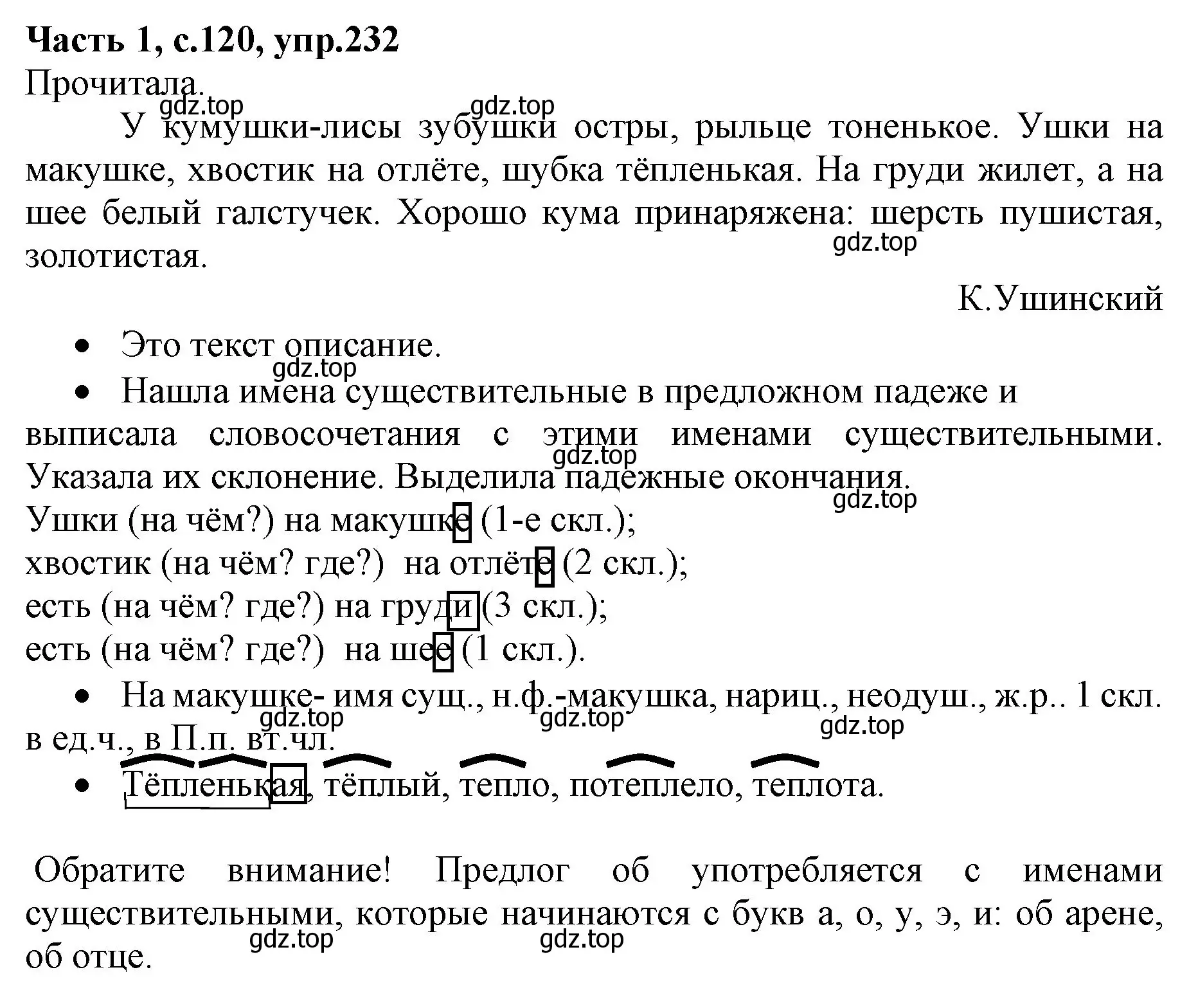 Решение номер 232 (страница 120) гдз по русскому языку 4 класс Канакина, Горецкий, учебник 1 часть