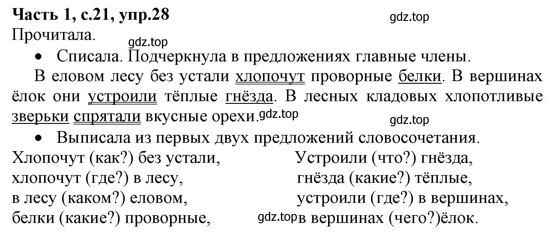 Решение номер 28 (страница 21) гдз по русскому языку 4 класс Канакина, Горецкий, учебник 1 часть