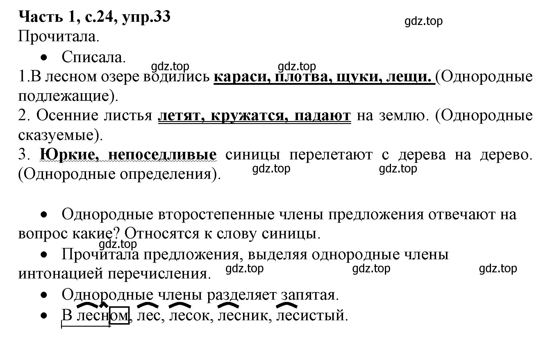 Решение номер 33 (страница 24) гдз по русскому языку 4 класс Канакина, Горецкий, учебник 1 часть