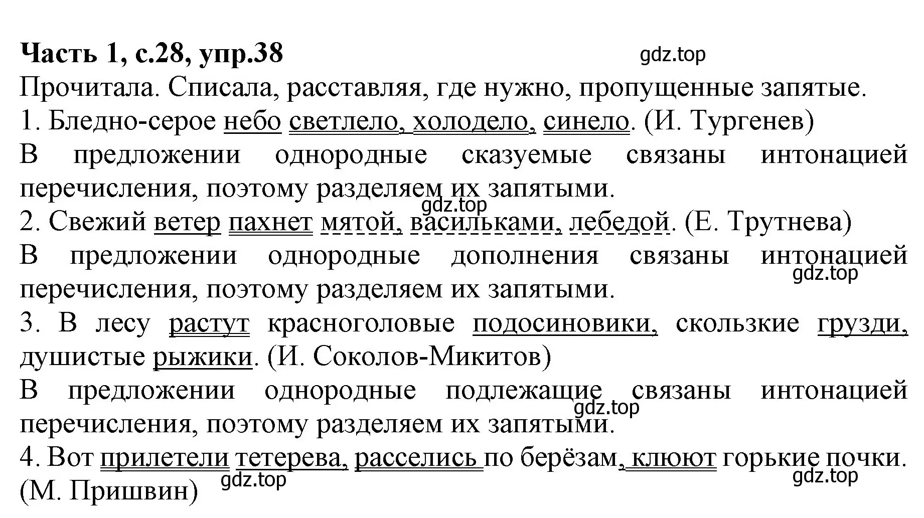 Решение номер 38 (страница 28) гдз по русскому языку 4 класс Канакина, Горецкий, учебник 1 часть