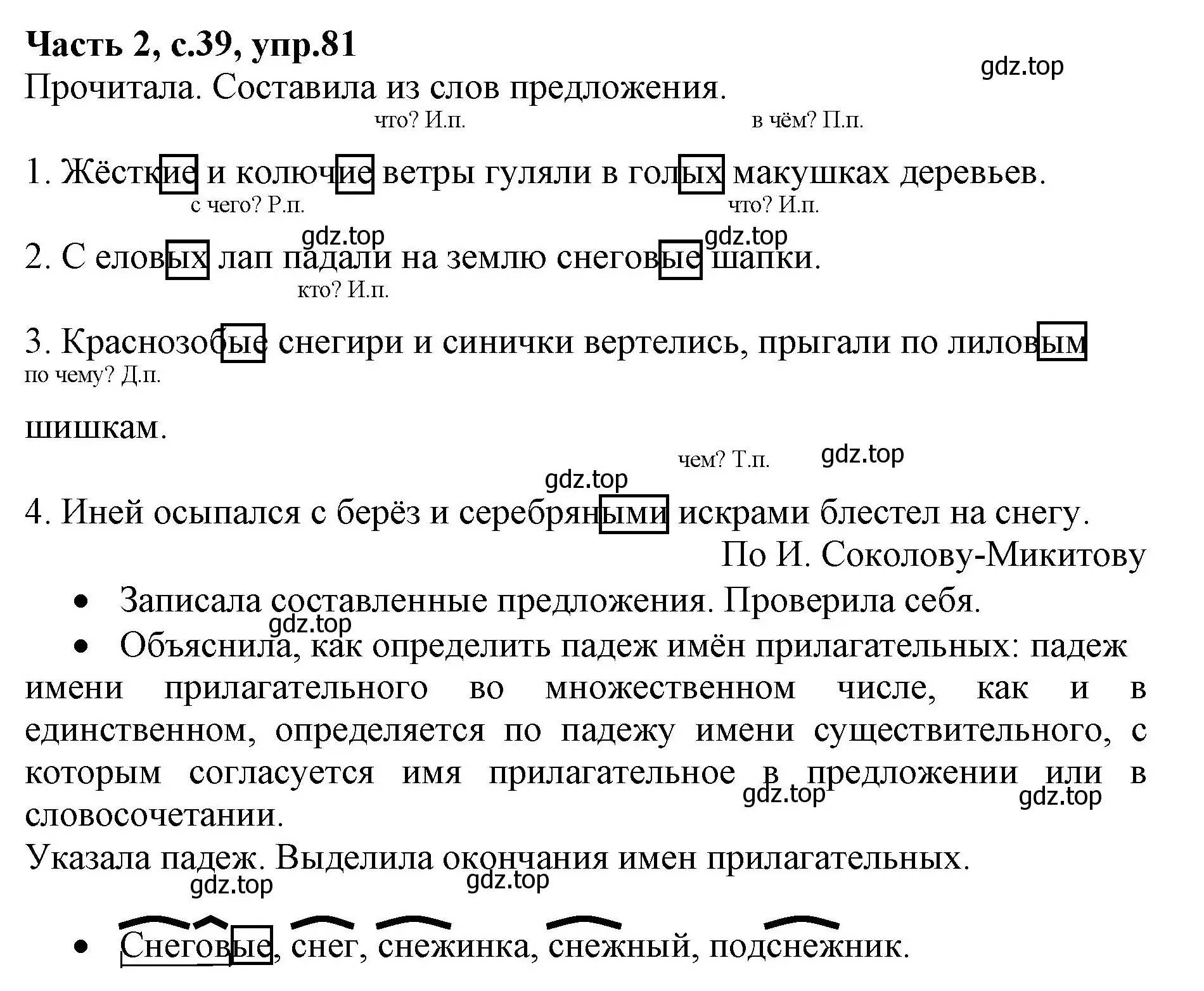 Решение номер 81 (страница 39) гдз по русскому языку 4 класс Канакина, Горецкий, учебник 2 часть