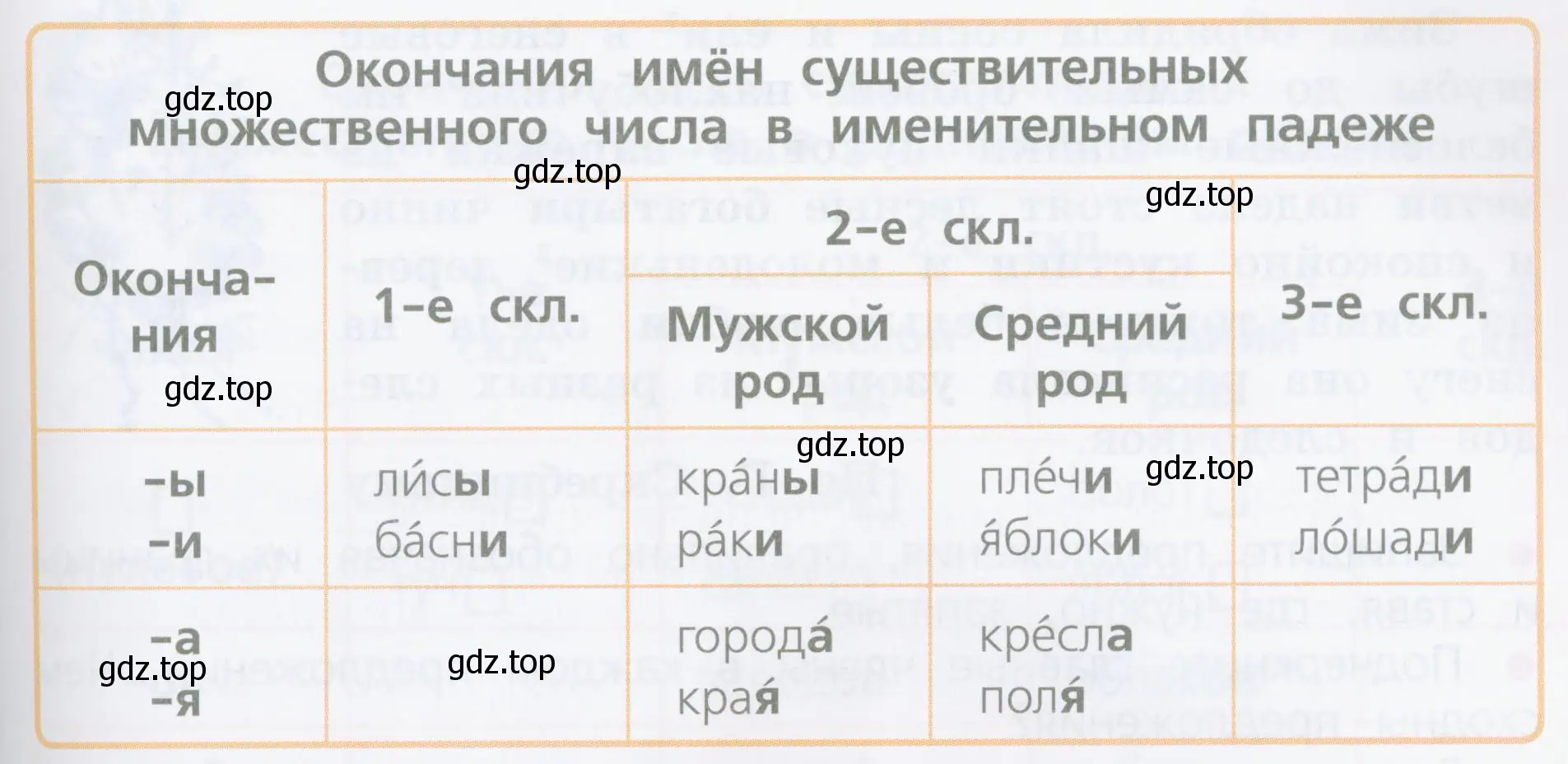 Какие имена существительные во множественном числе имеют окончания -ы? -и? -а? -я?