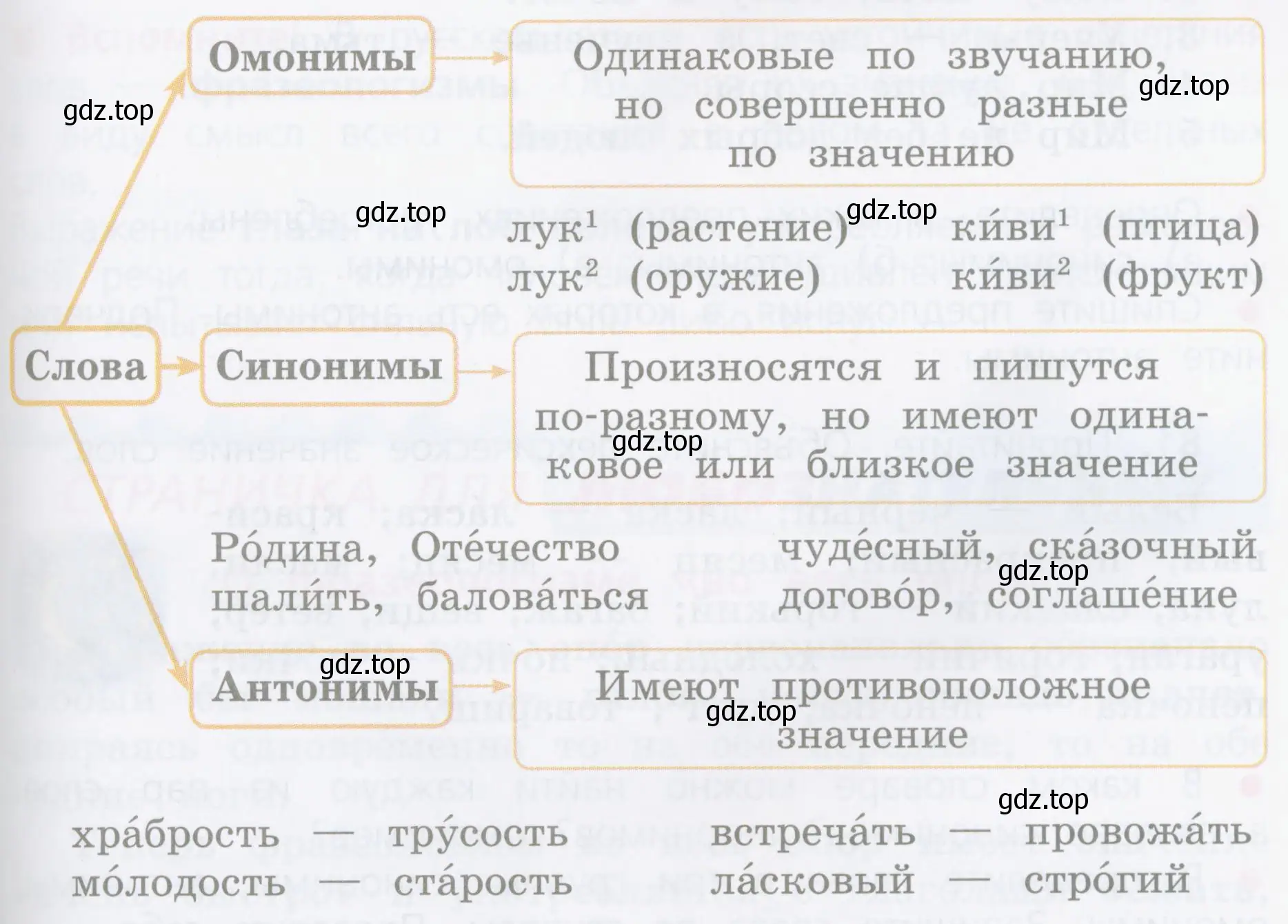 Какими частями речи является каждая пара синонимов? антонимов? омонимов?