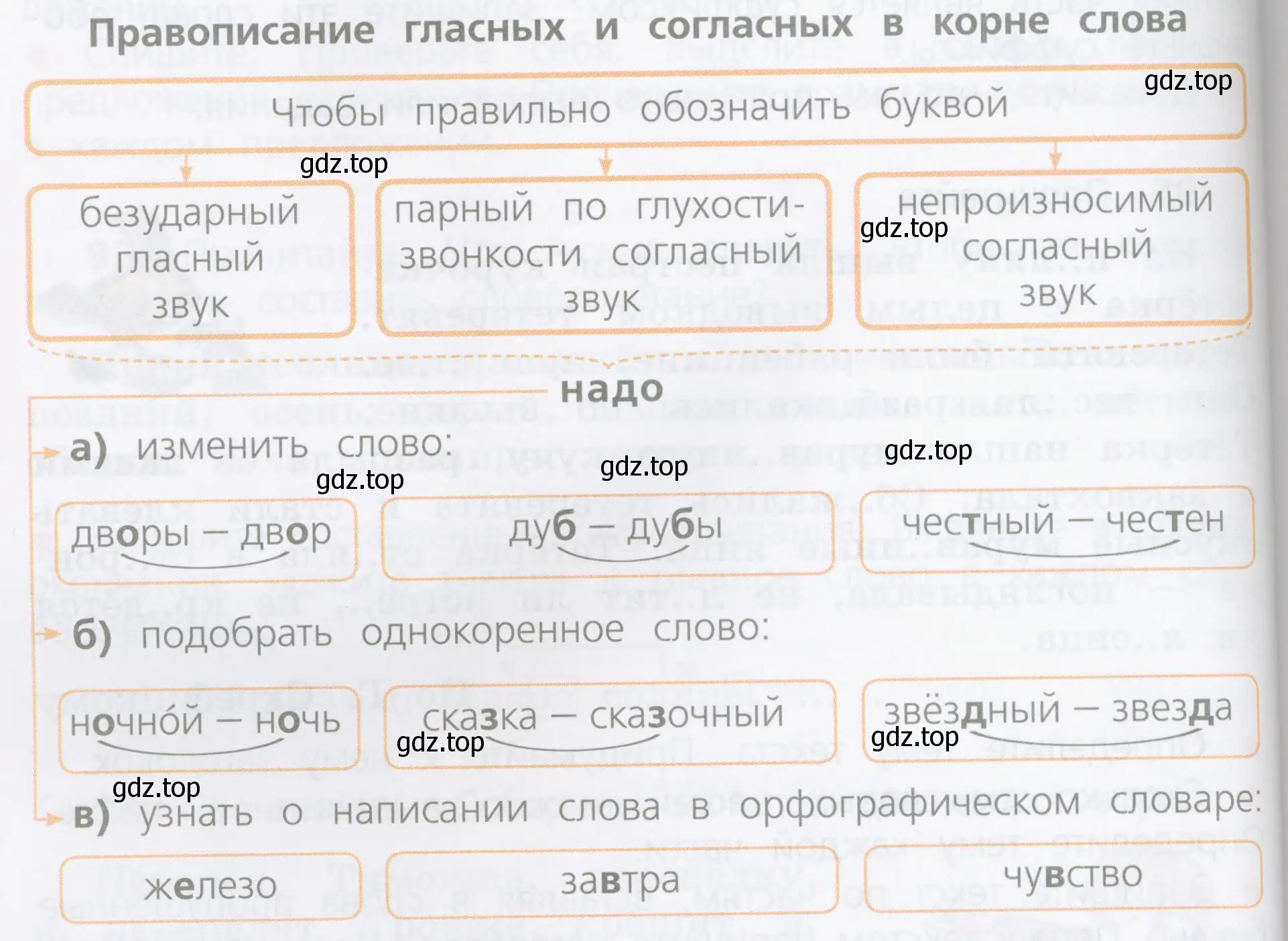 В чём сходство и различие в подборе проверочного слова для слов с безударным гласным звуком, с парным по глухости-звонкости согласным звуком, с непроизносимым согласным звуком в корне?