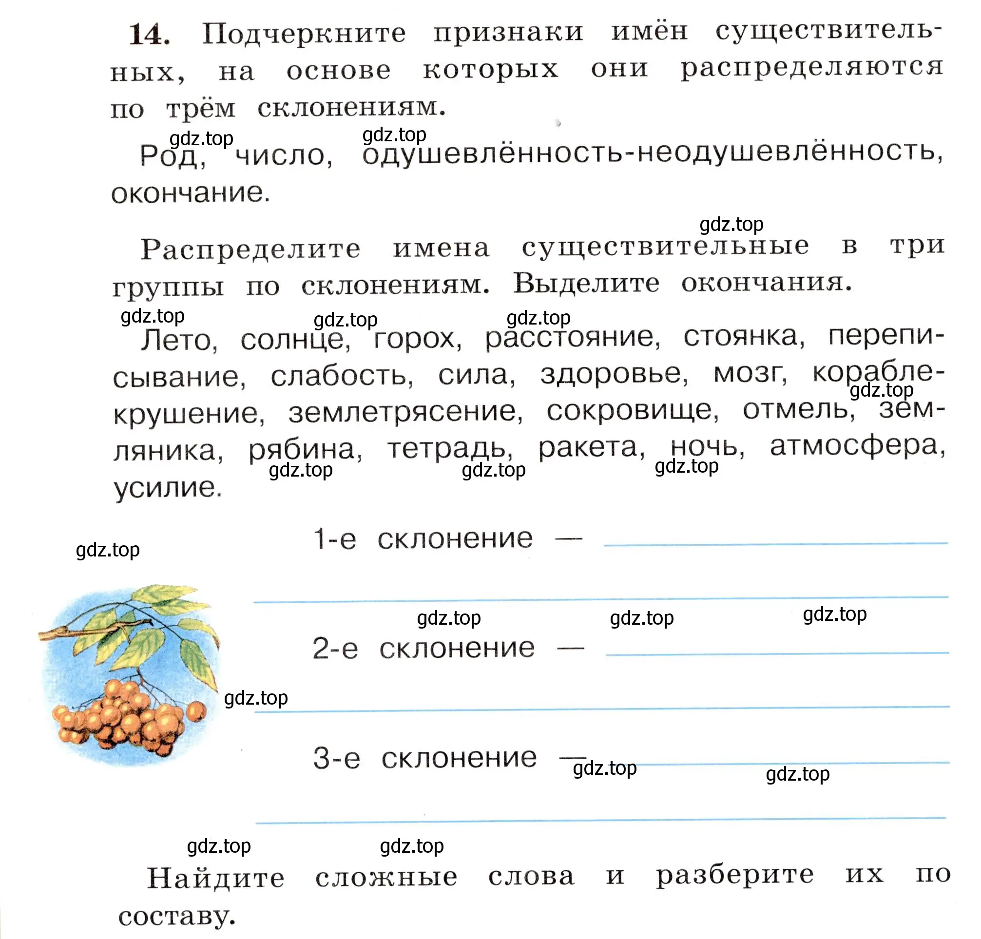 Условие номер 14 (страница 12) гдз по русскому языку 4 класс Климанова, Бабушкина, рабочая тетрадь 2 часть