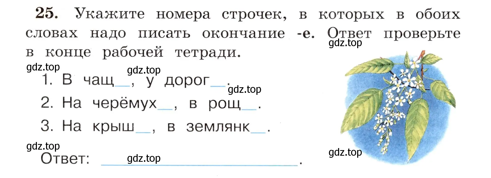 Условие номер 25 (страница 19) гдз по русскому языку 4 класс Климанова, Бабушкина, рабочая тетрадь 2 часть