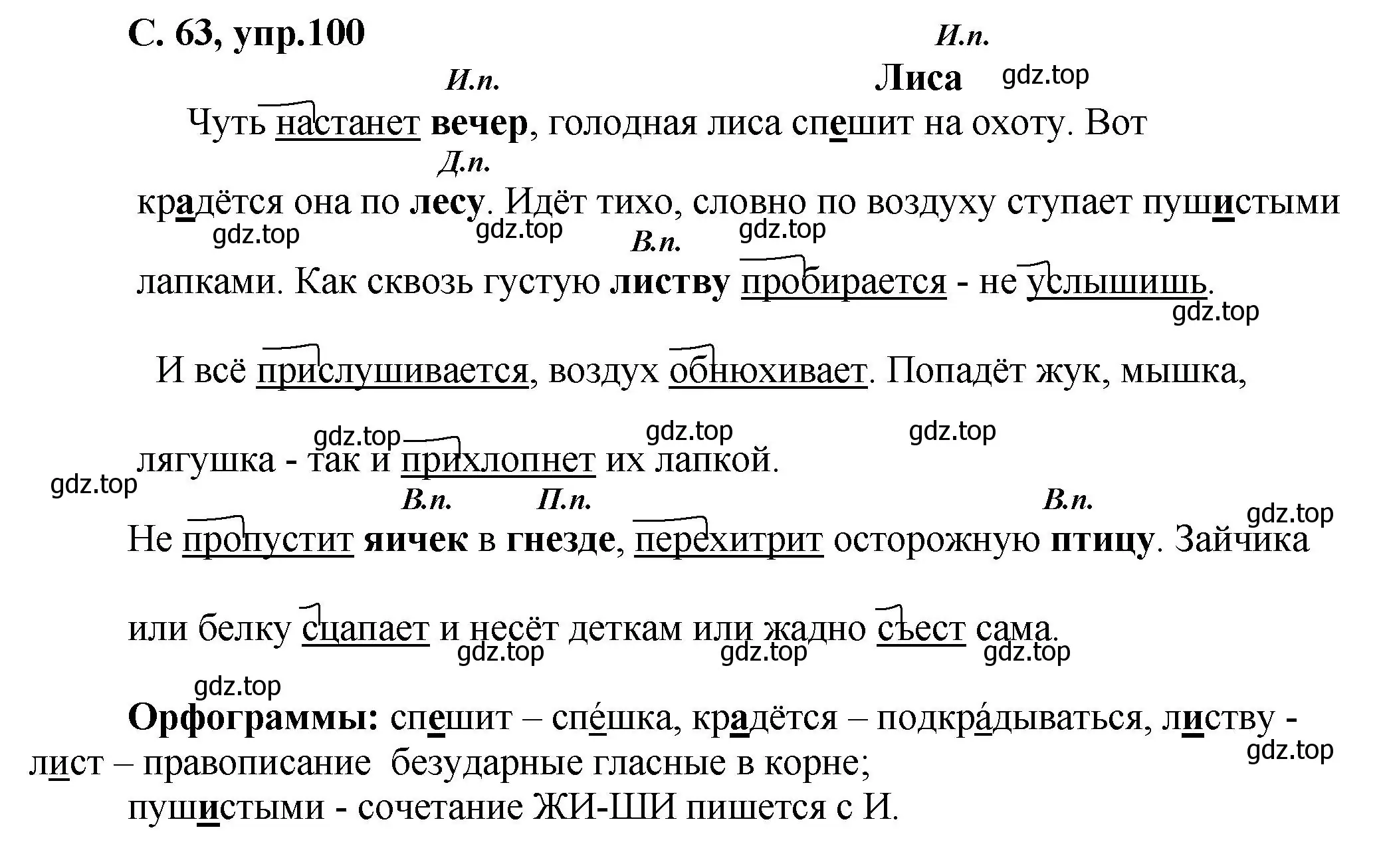 Решение номер 100 (страница 63) гдз по русскому языку 4 класс Климанова, Бабушкина, рабочая тетрадь 1 часть