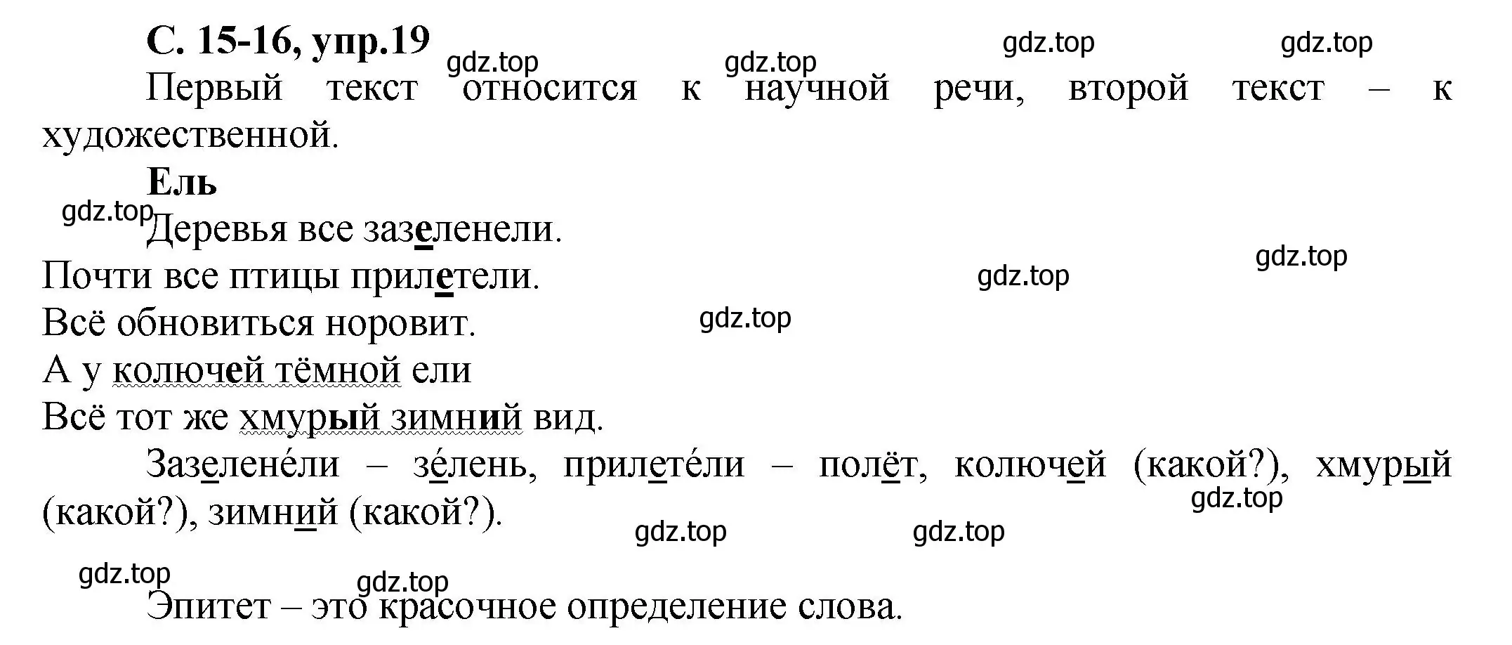 Решение номер 19 (страница 15) гдз по русскому языку 4 класс Климанова, Бабушкина, рабочая тетрадь 1 часть