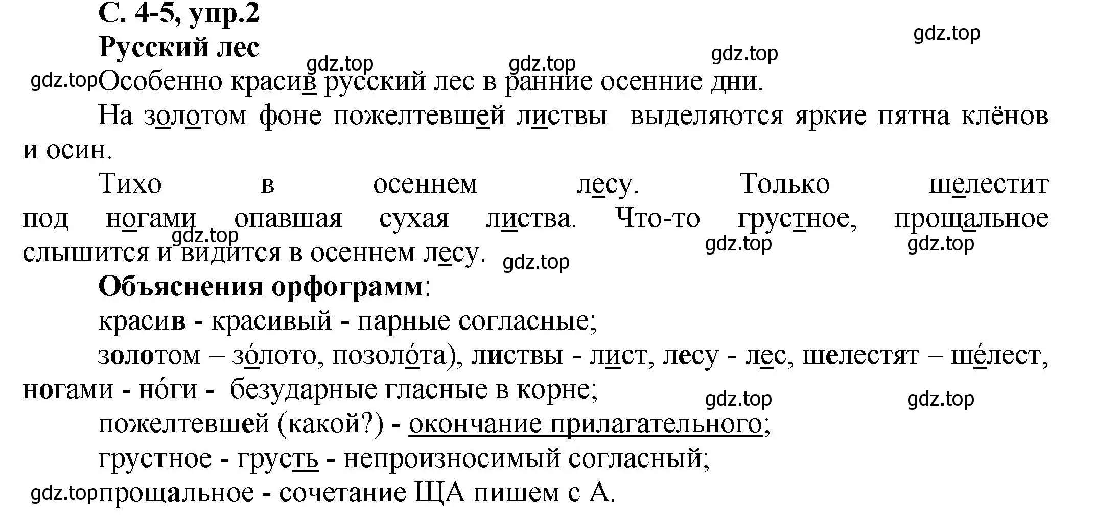 Решение номер 2 (страница 4) гдз по русскому языку 4 класс Климанова, Бабушкина, рабочая тетрадь 1 часть