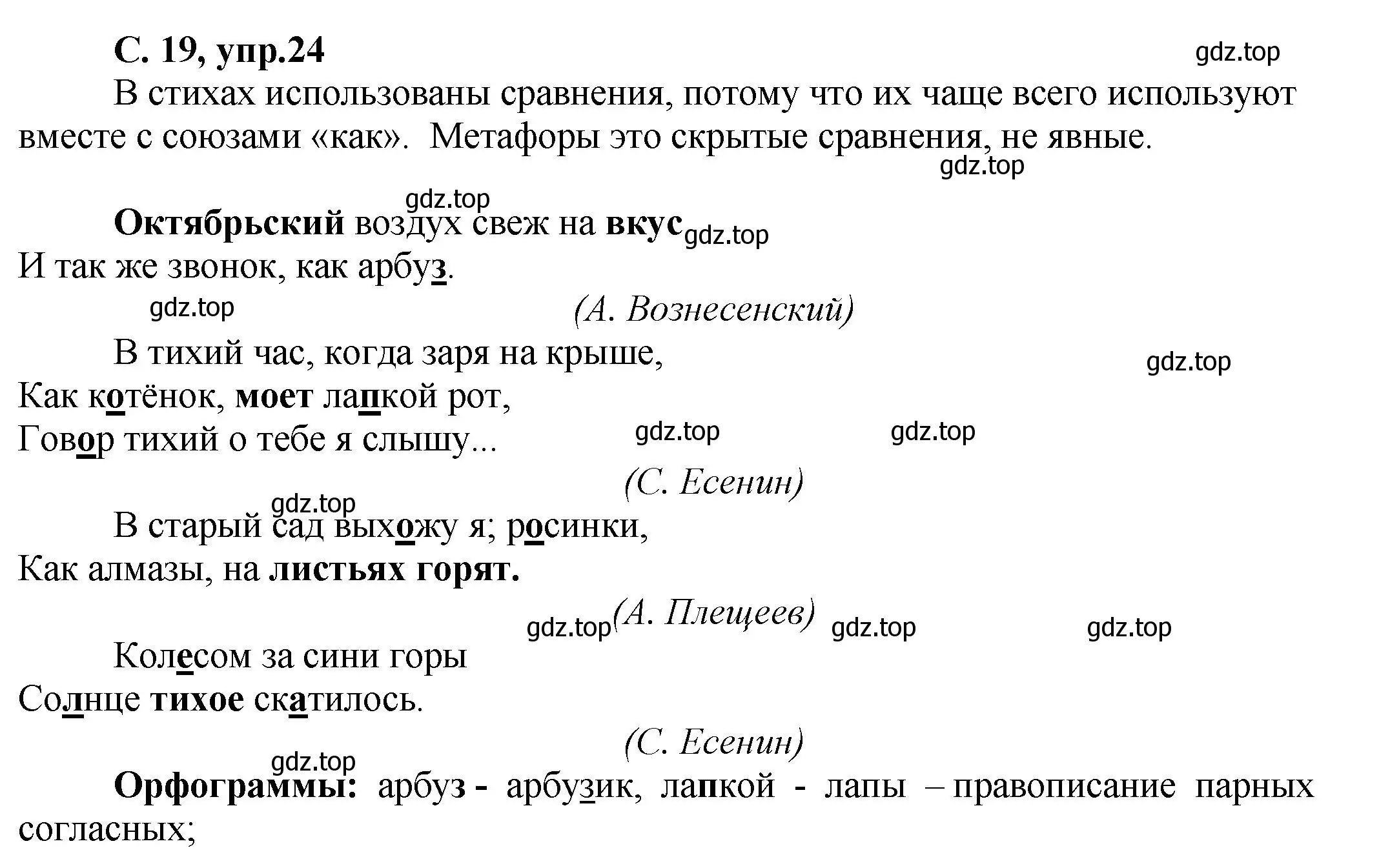 Решение номер 24 (страница 19) гдз по русскому языку 4 класс Климанова, Бабушкина, рабочая тетрадь 1 часть