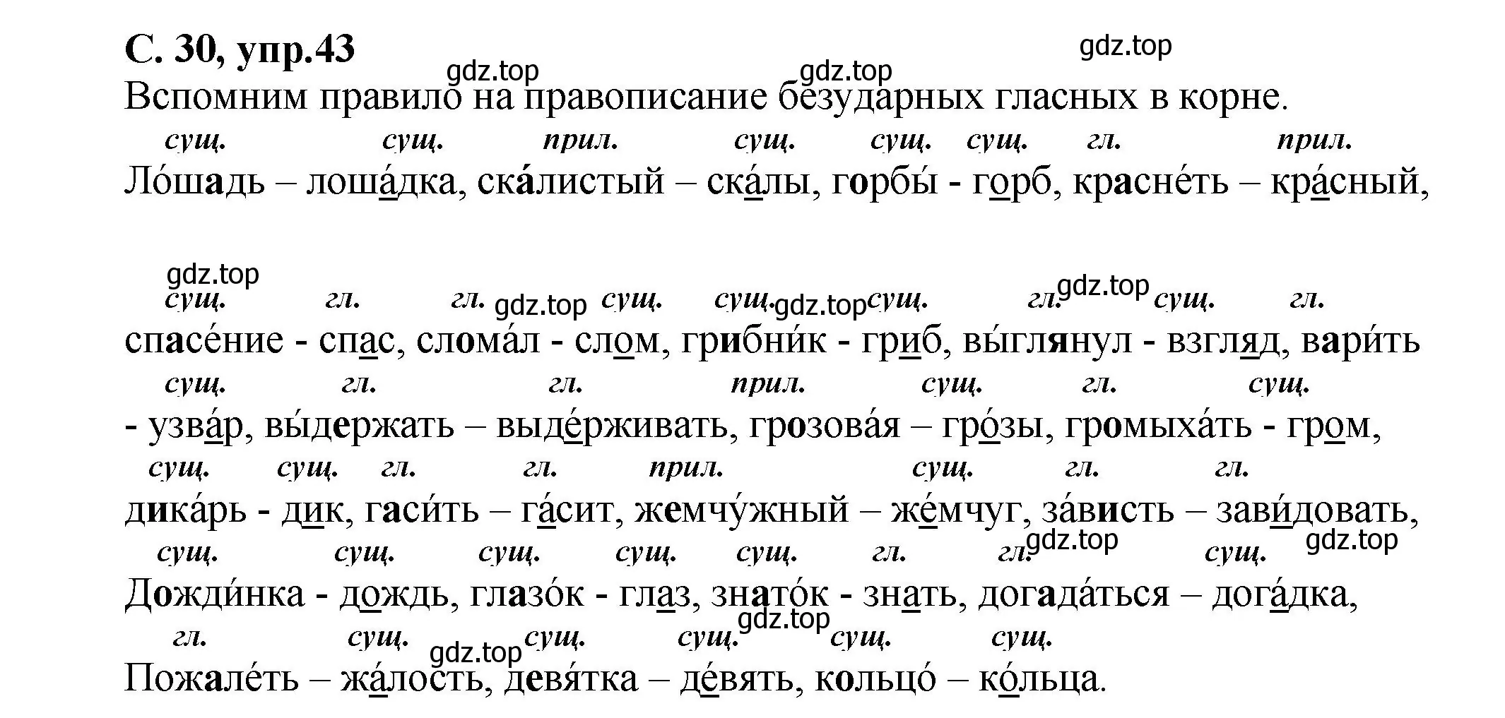 Решение номер 43 (страница 30) гдз по русскому языку 4 класс Климанова, Бабушкина, рабочая тетрадь 1 часть